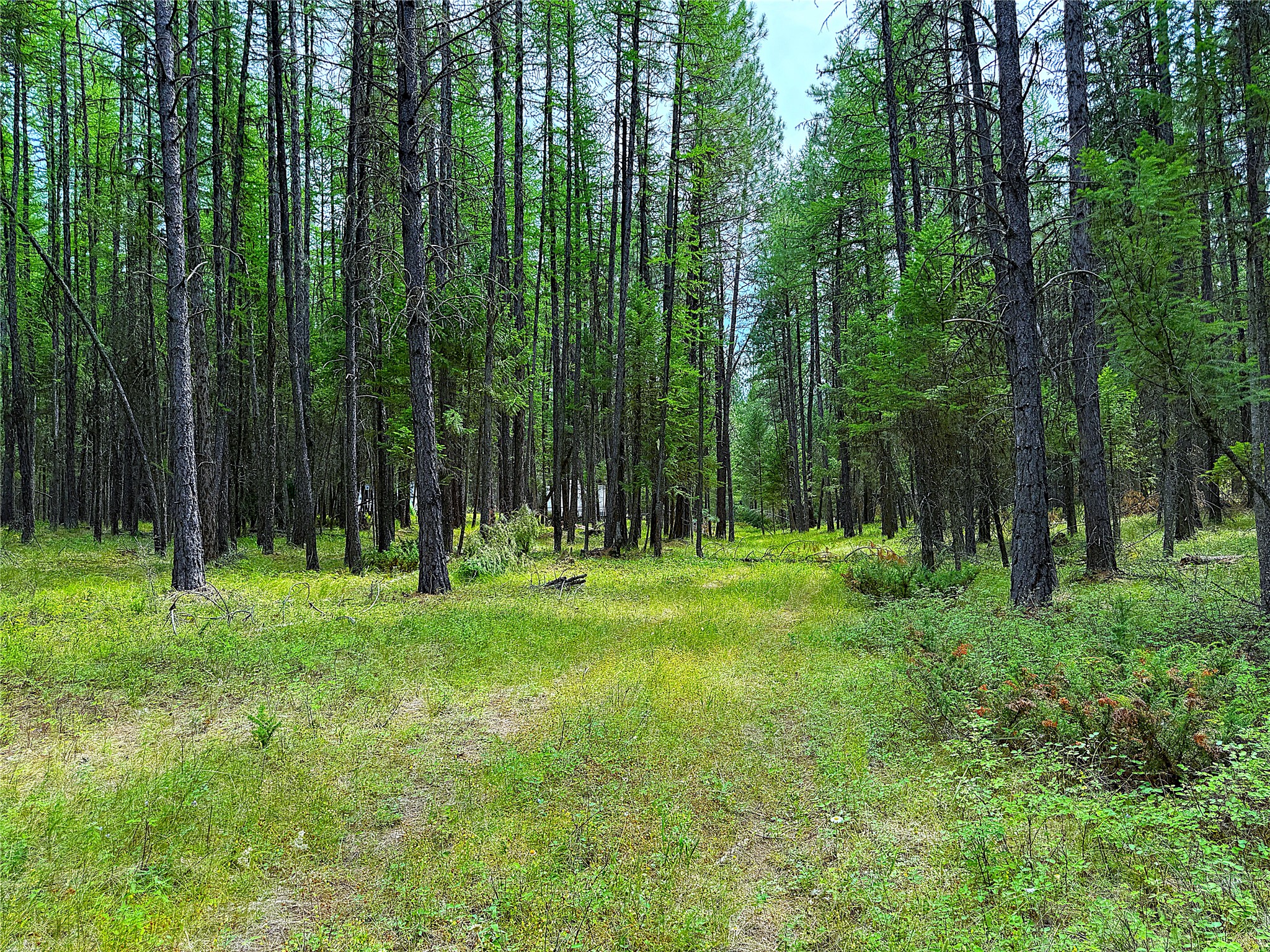 Nhn Pomeroy Trail Property Photo 11