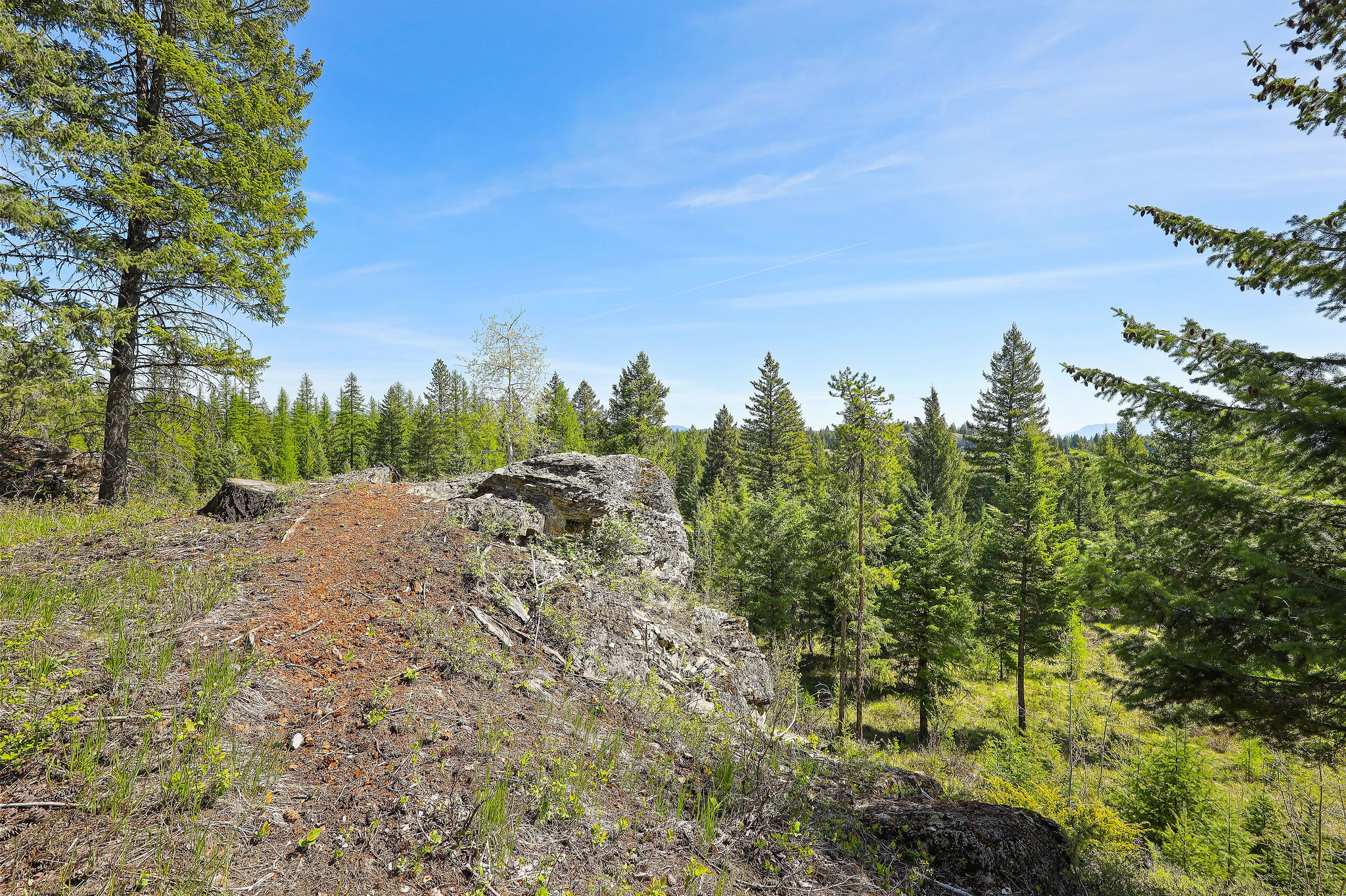 159 Glacier Vista Trail Property Photo 61