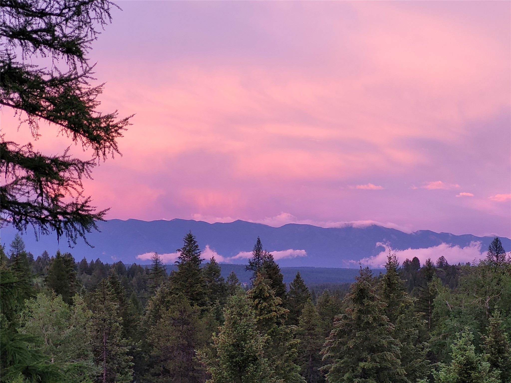 159 Glacier Vista Trail Property Photo 85