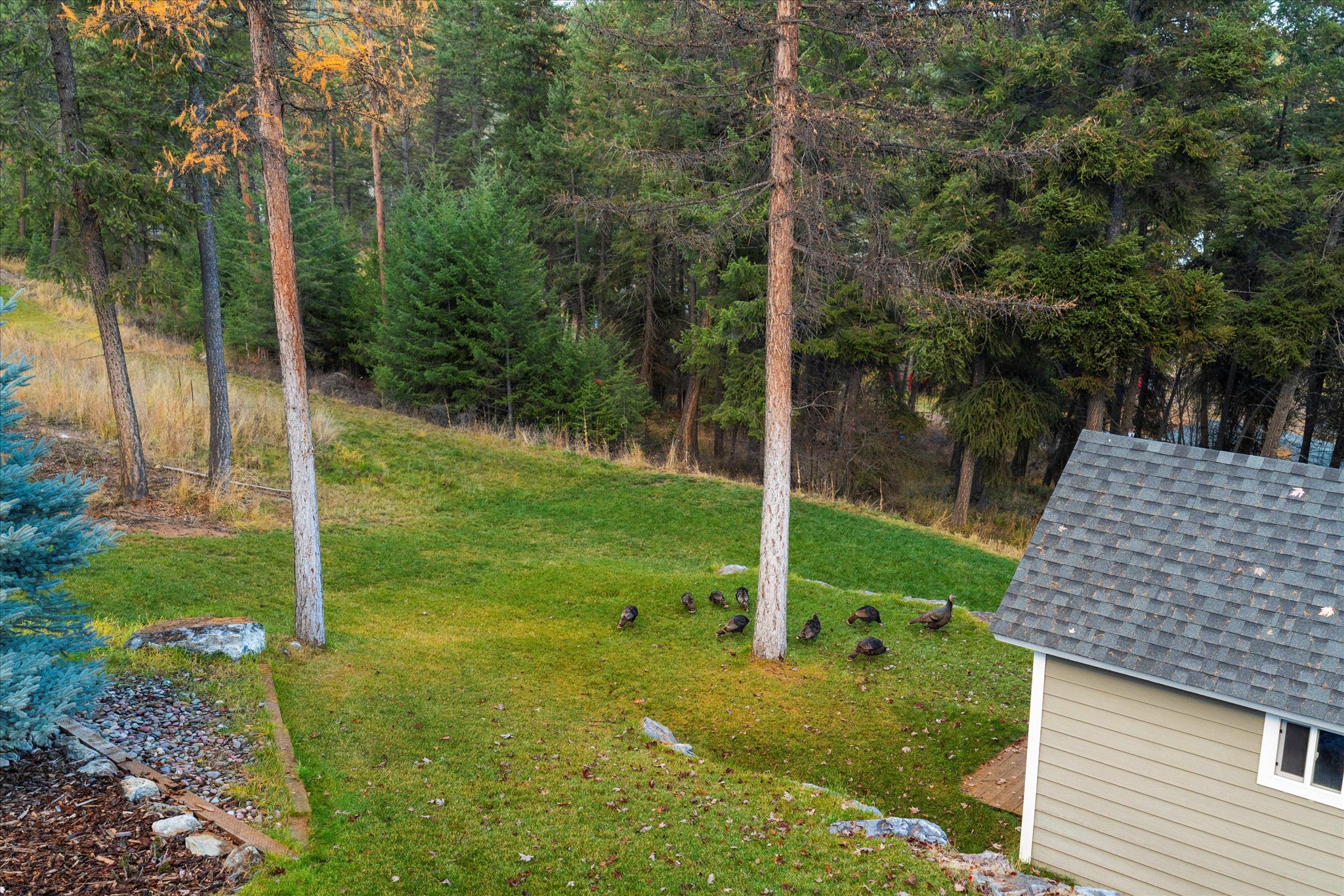 155 Wulff Lane Property Photo 40
