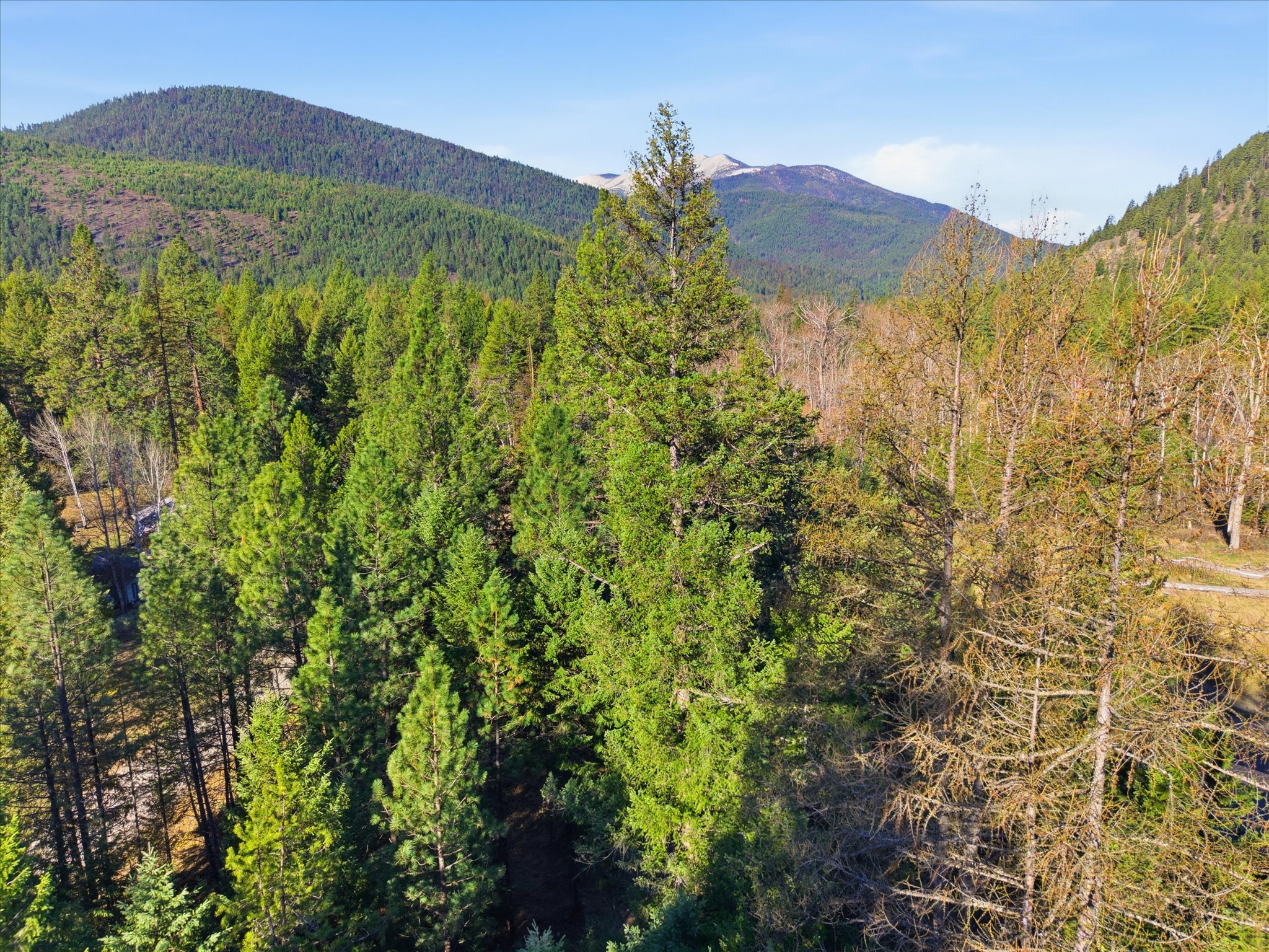 Nhn Quartz Road Property Photo 14