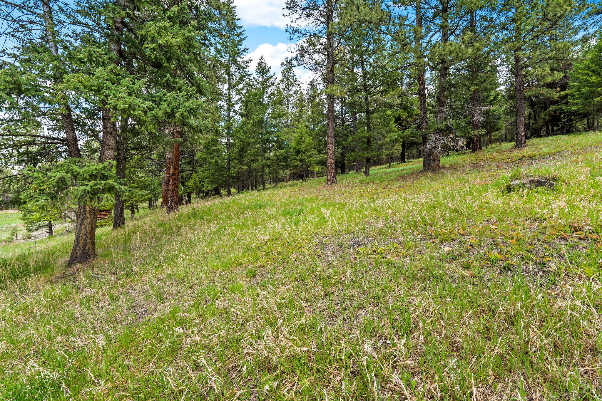 147 Lobo Trail Property Photo 49