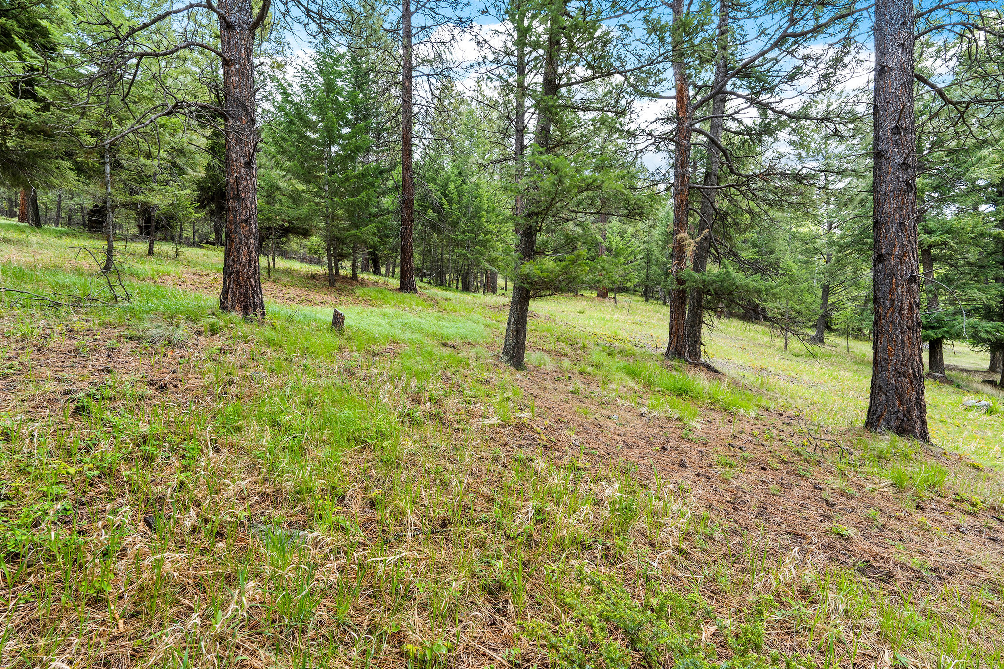 147 Lobo Trail Property Photo 50
