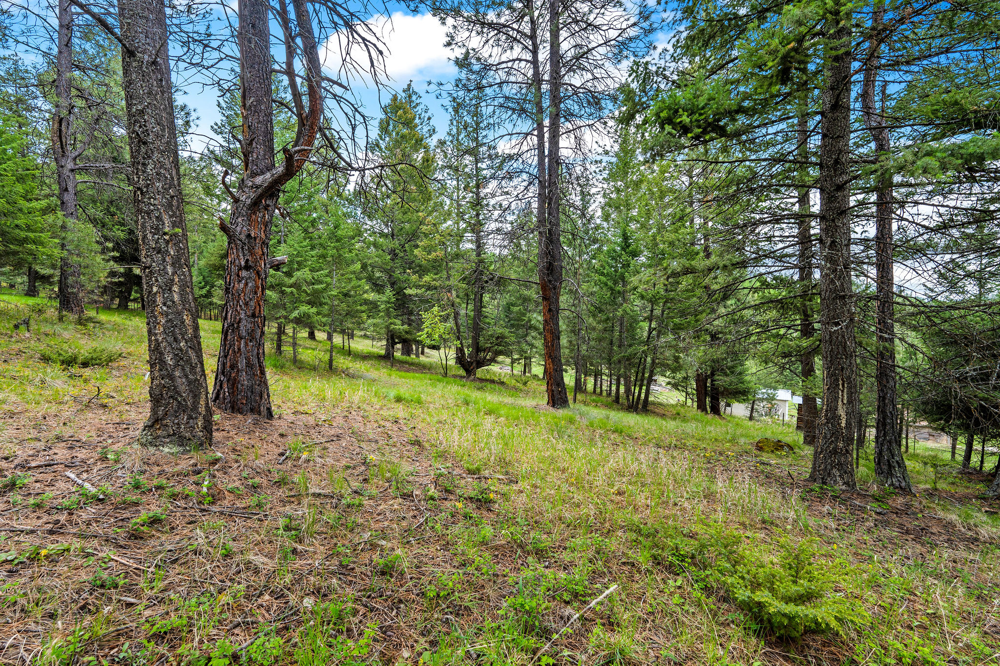 147 Lobo Trail Property Photo 53