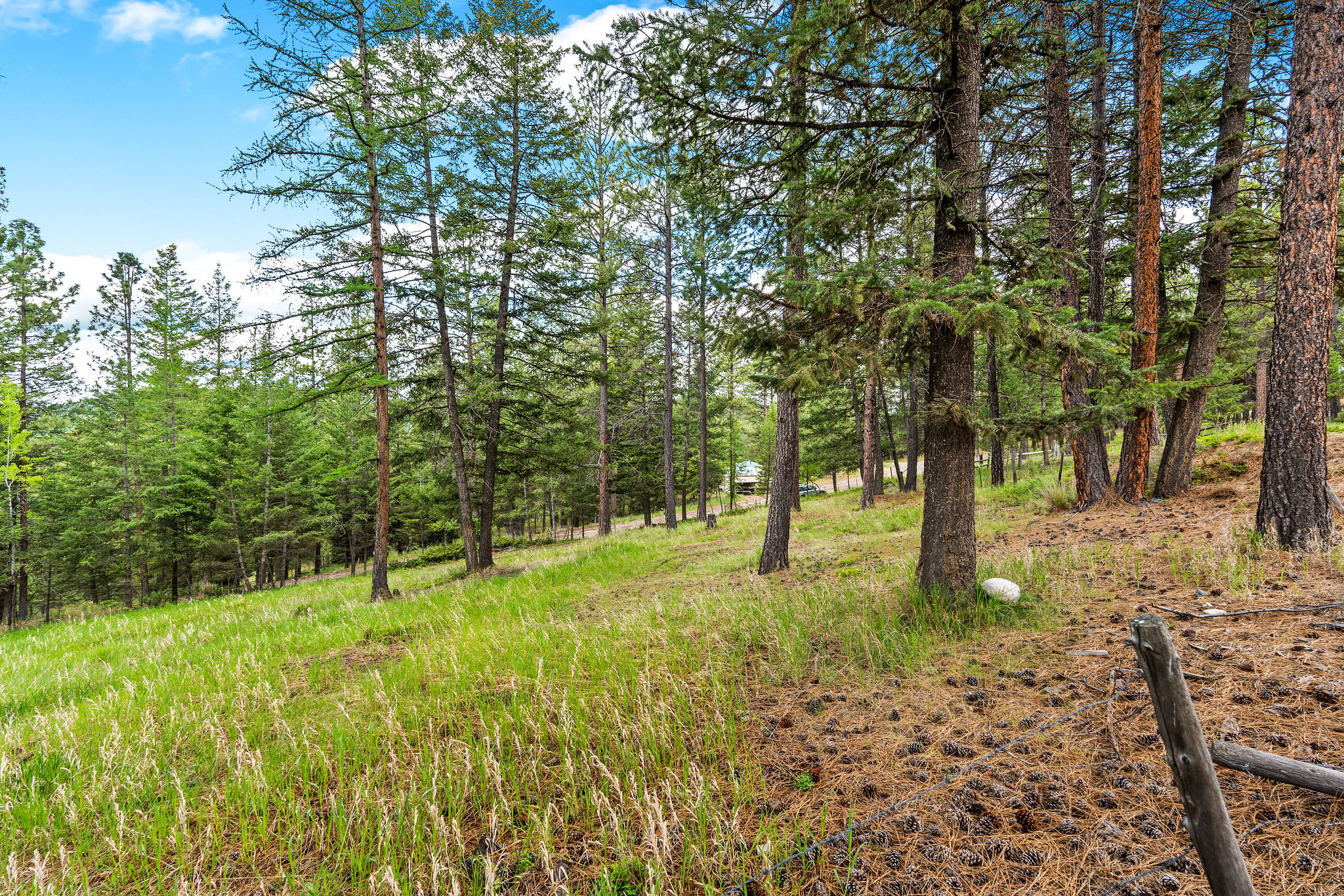 147 Lobo Trail Property Photo 55