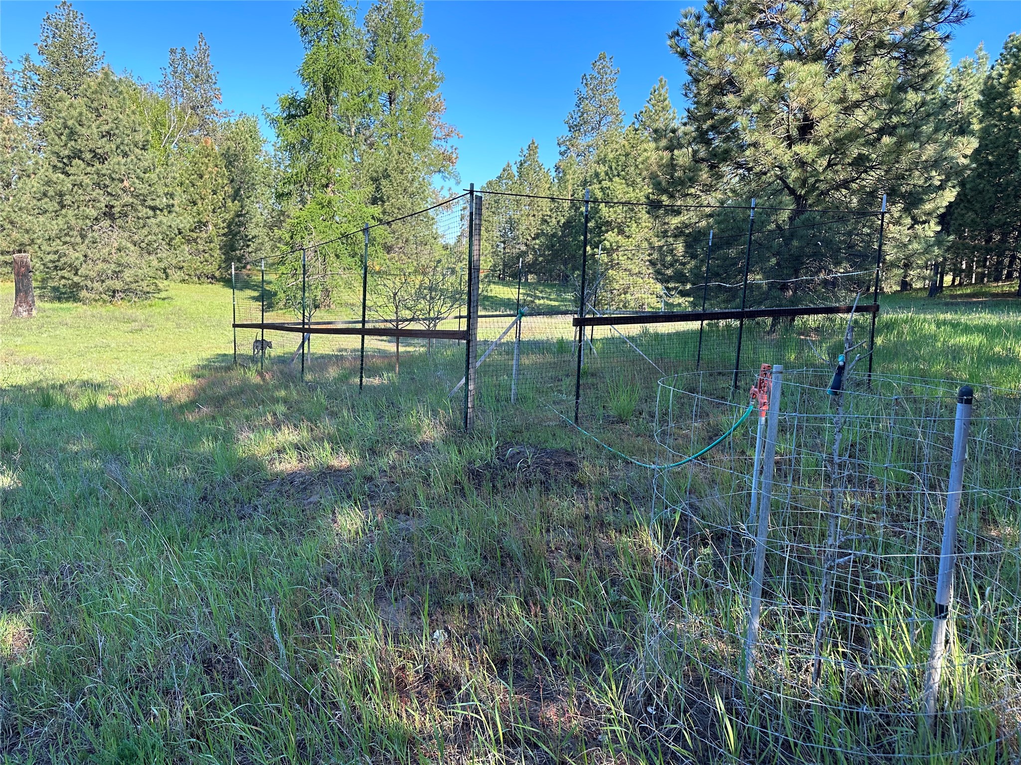 110 Conifer Lane Property Photo 69