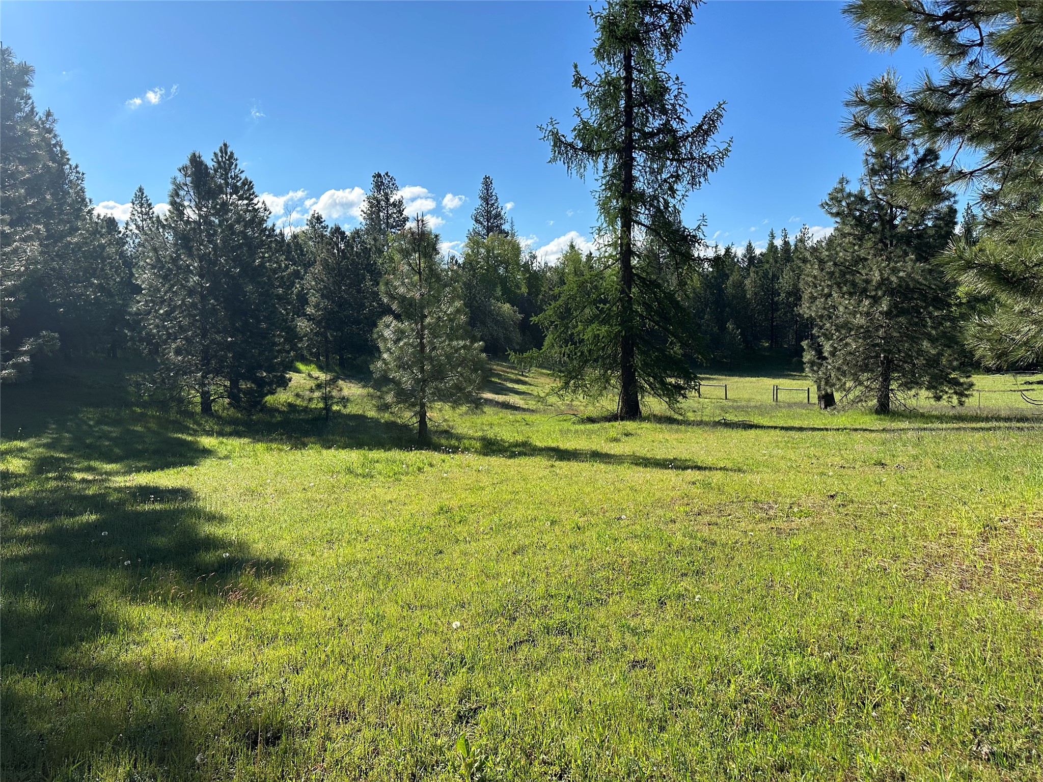 110 Conifer Lane Property Photo 70