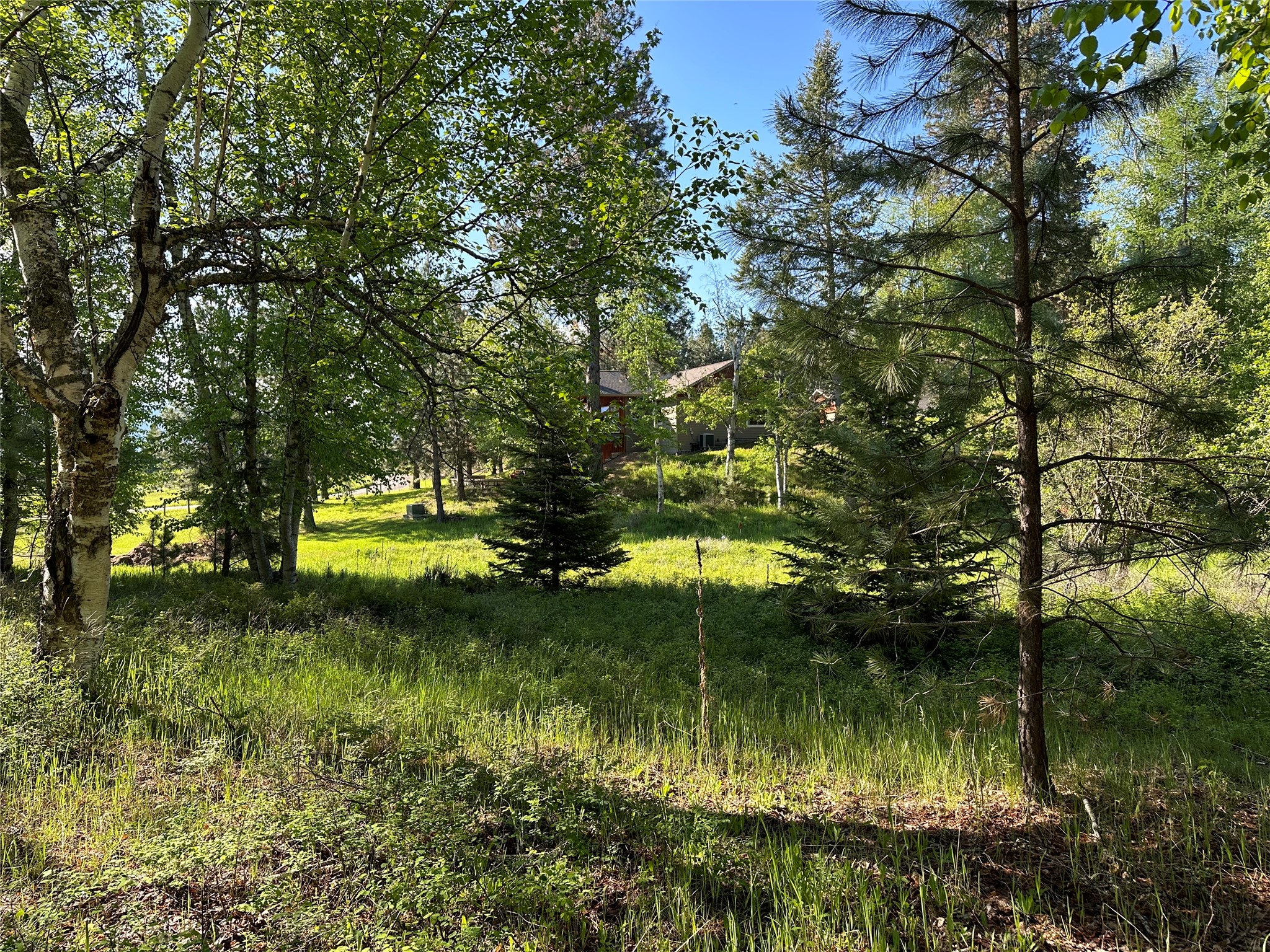 110 Conifer Lane Property Photo 72