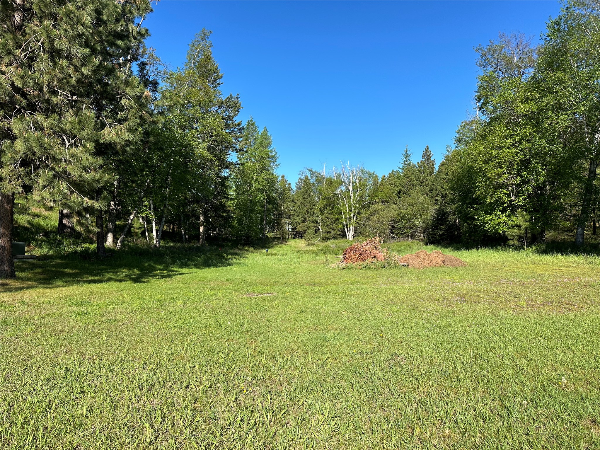 110 Conifer Lane Property Photo 76