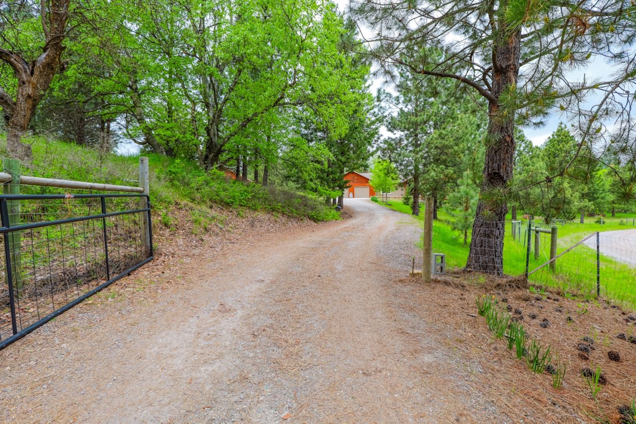 110 Conifer Lane Property Photo 88