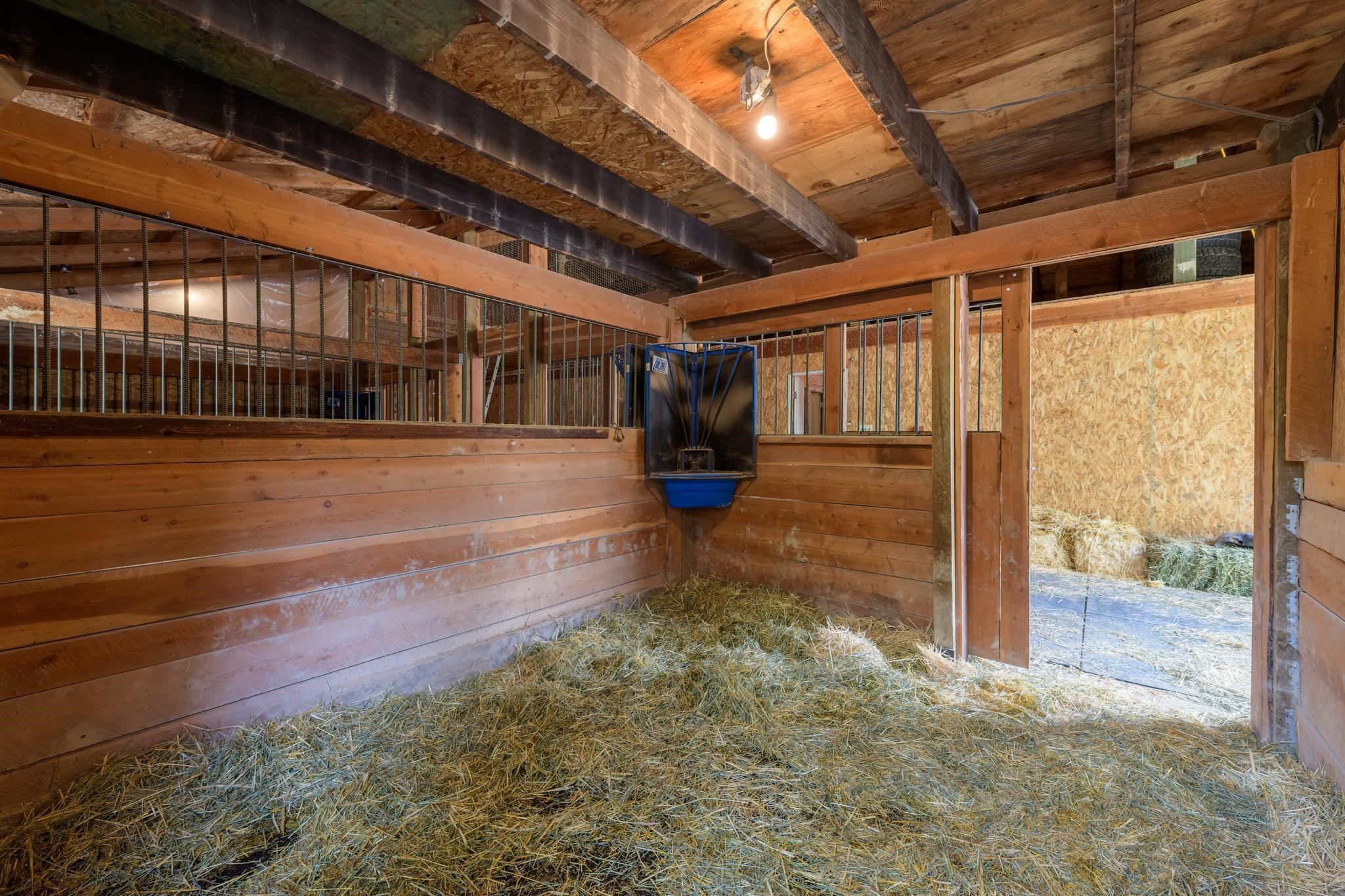 4332 Grave Creek Road Property Photo 66