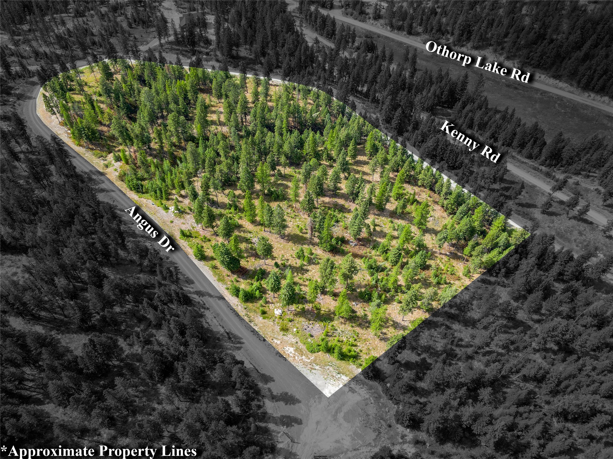 Lot 9 Angus Drive Property Photo 7