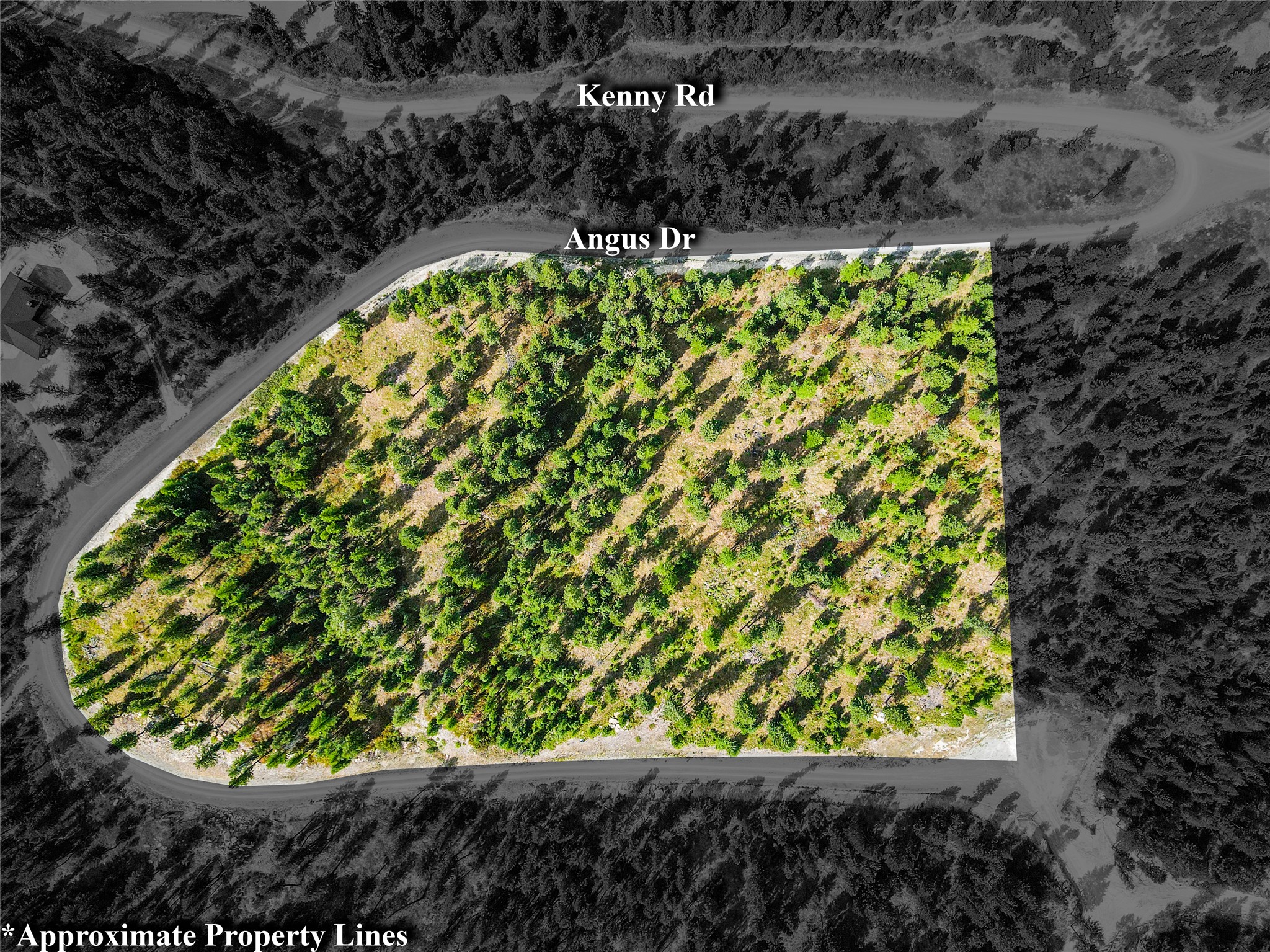 Lot 9 Angus Drive Property Photo 14
