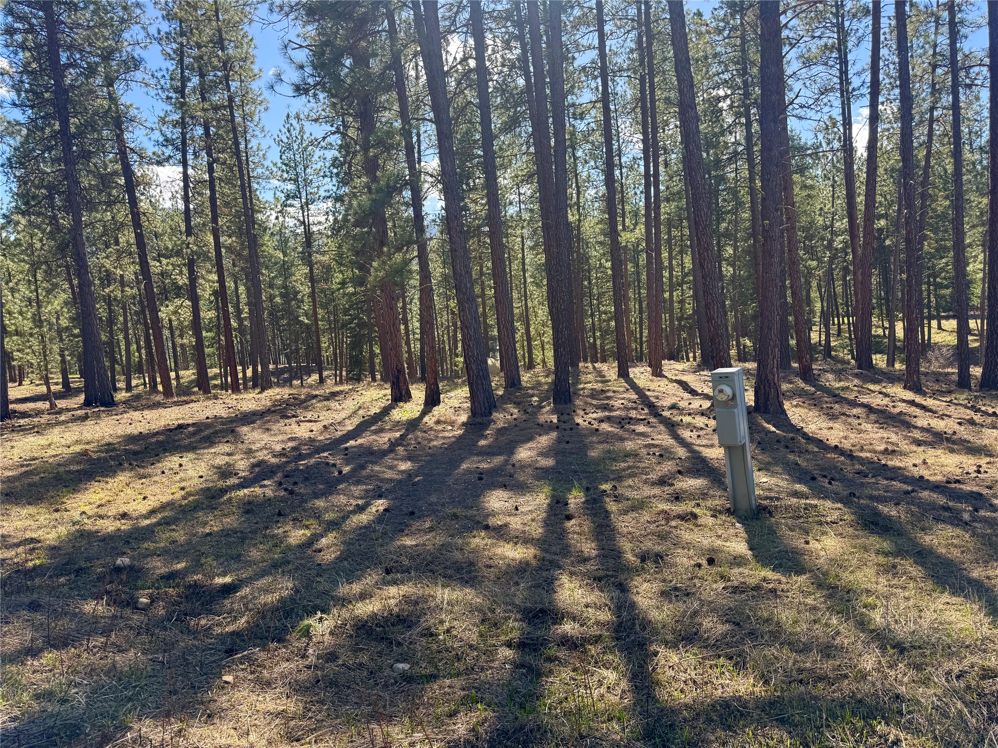 21481 Nine Mile Road Property Photo 23