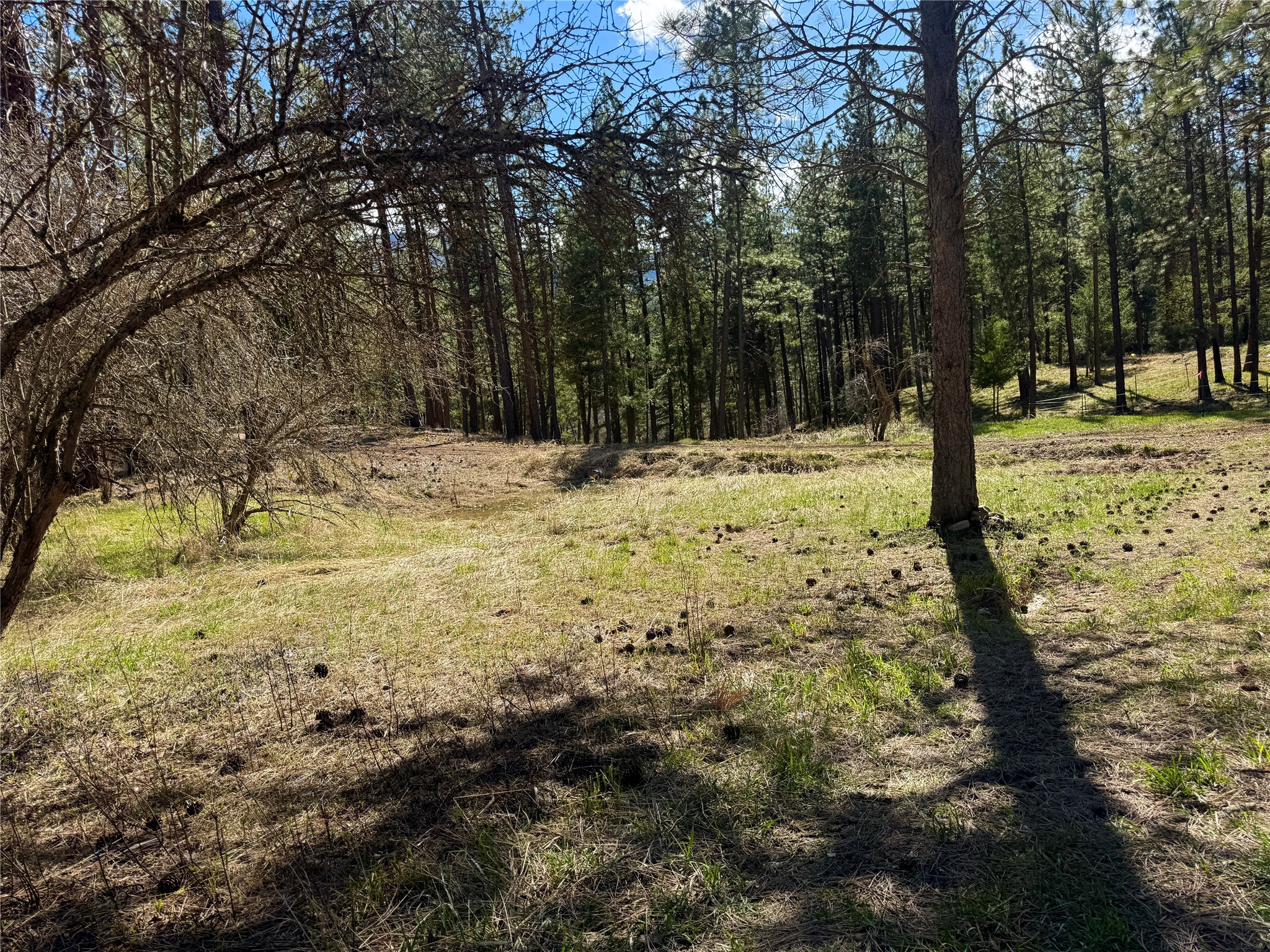 21481 Nine Mile Road Property Photo 25