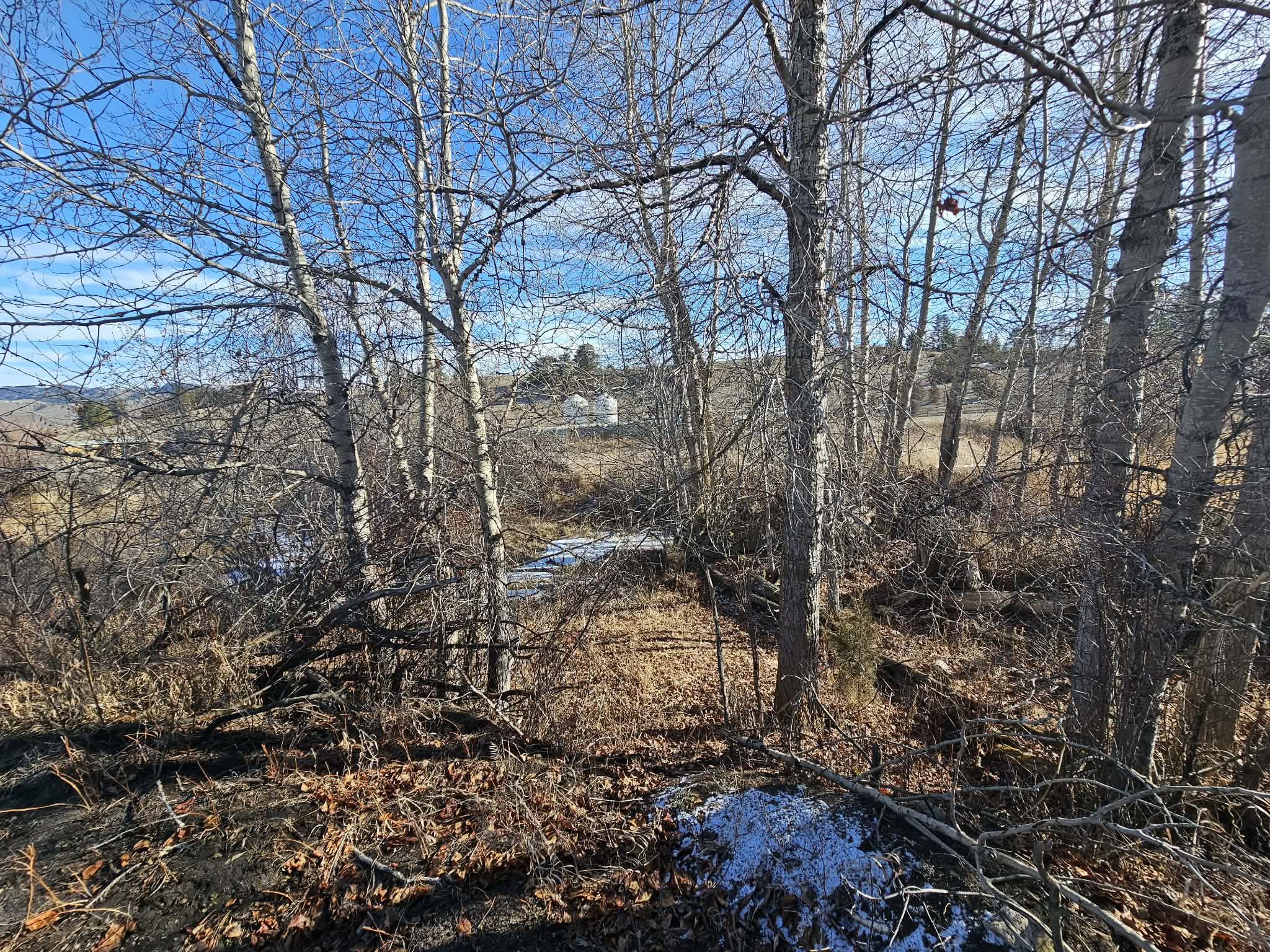 198 Mullan Trail Road Property Photo 1