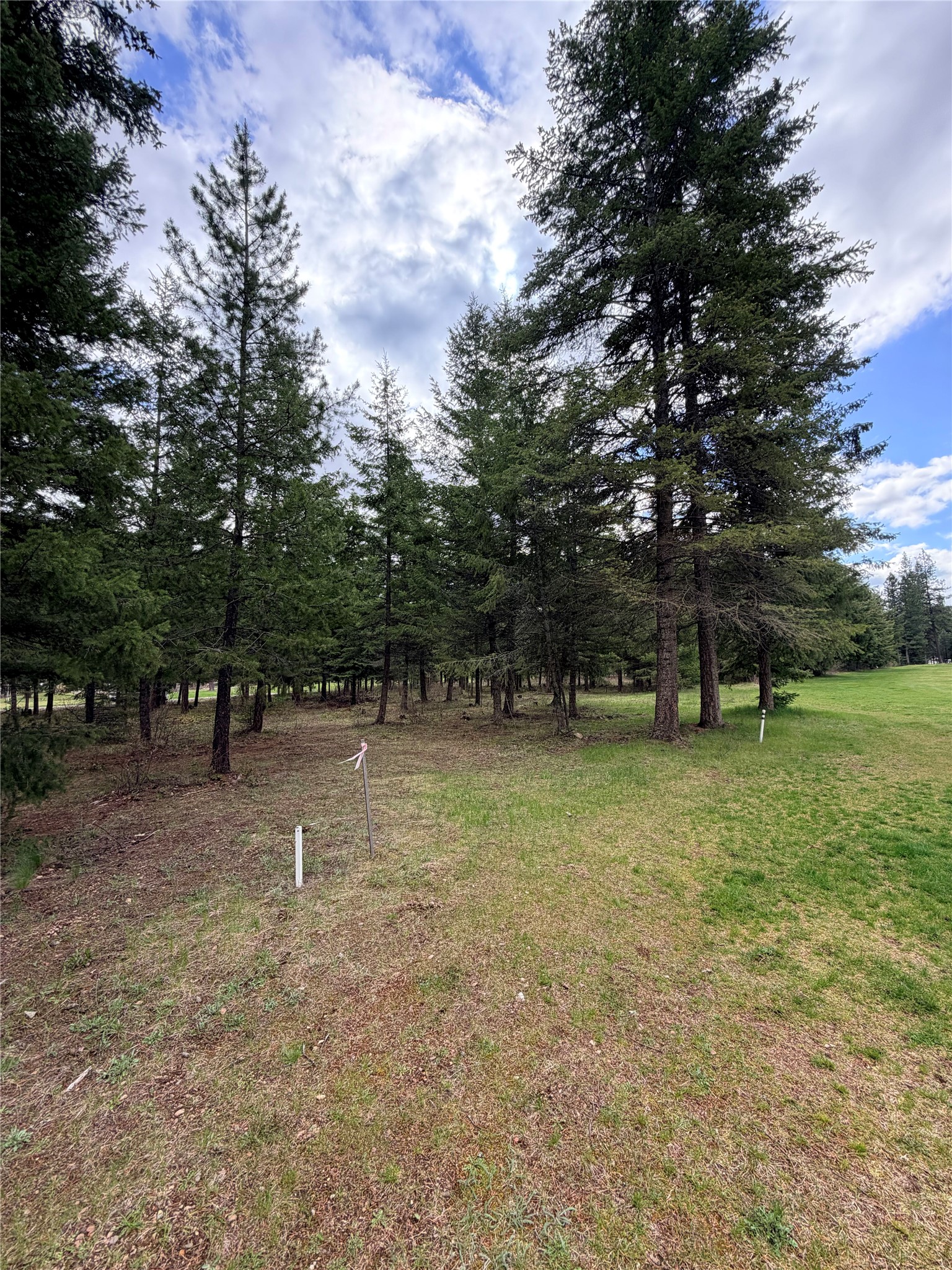 Lot 3 Fairview Drive Property Photo 1