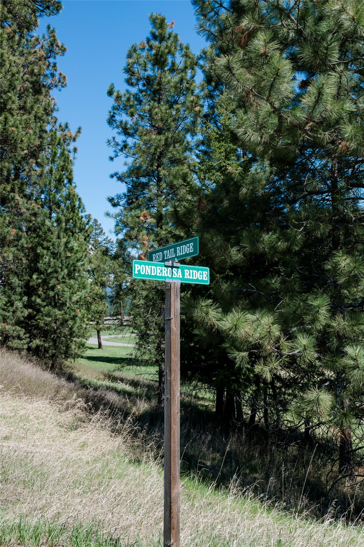 37 Red Tail Ridge Property Photo 3