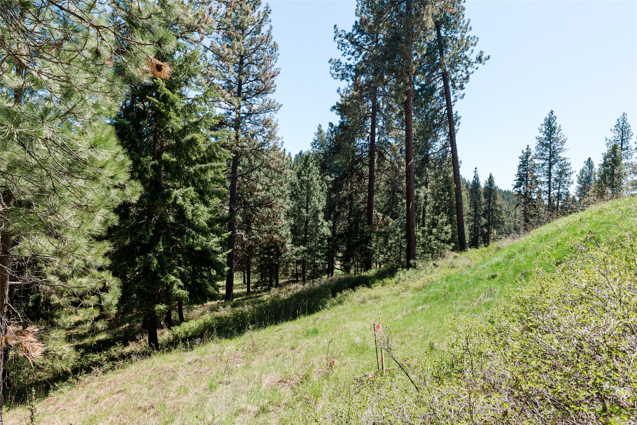 37 Red Tail Ridge Property Photo 4