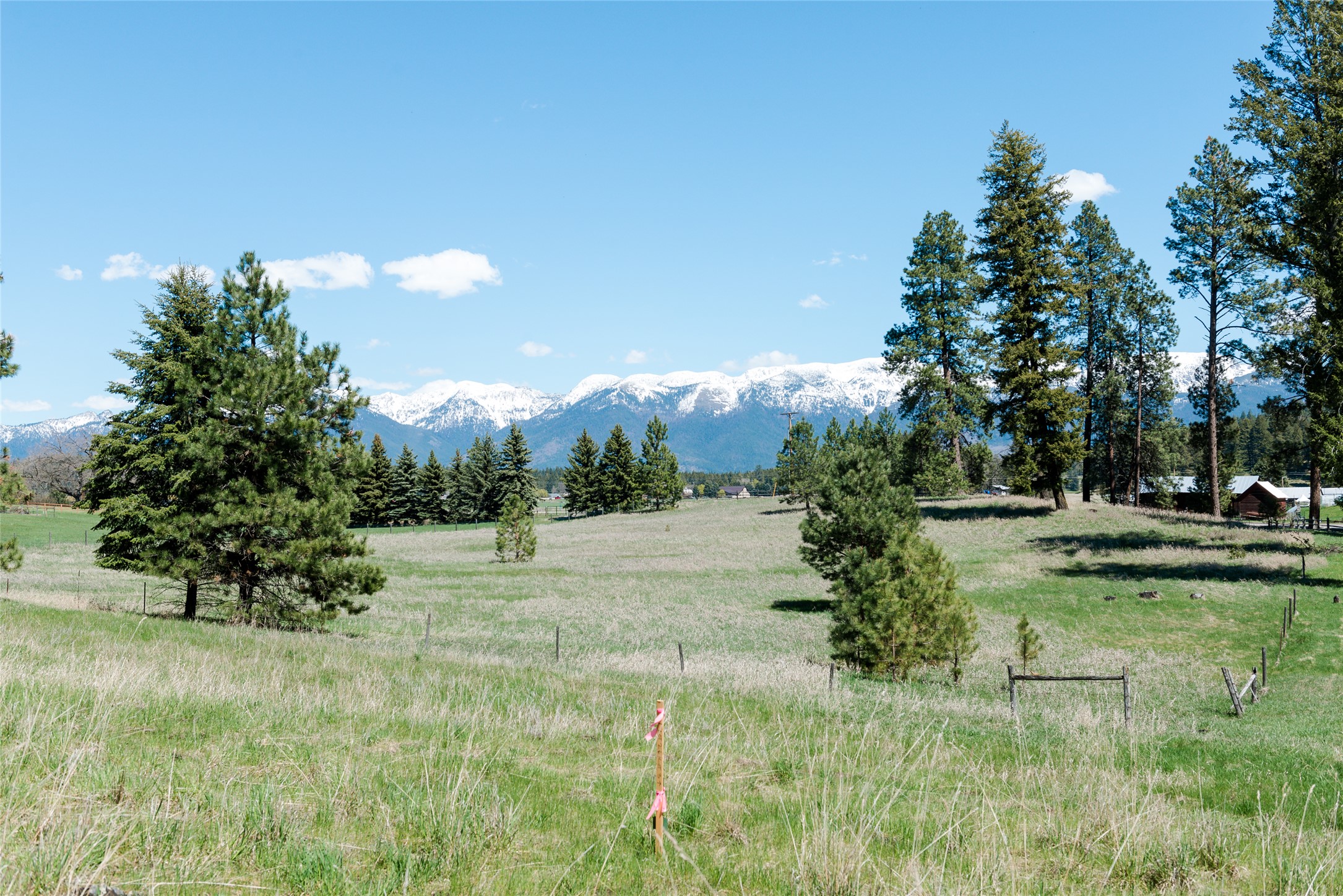 37 Red Tail Ridge Property Photo 6