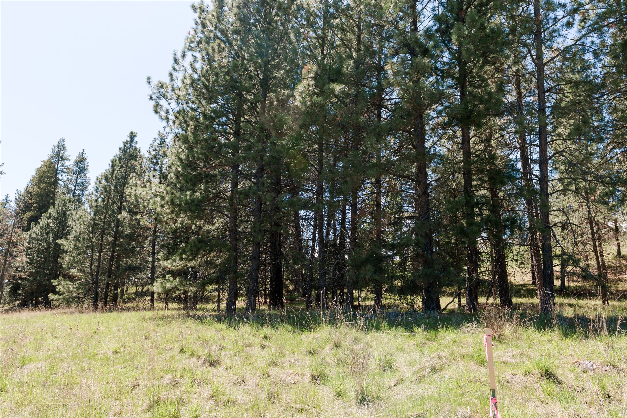 37 Red Tail Ridge Property Photo 7