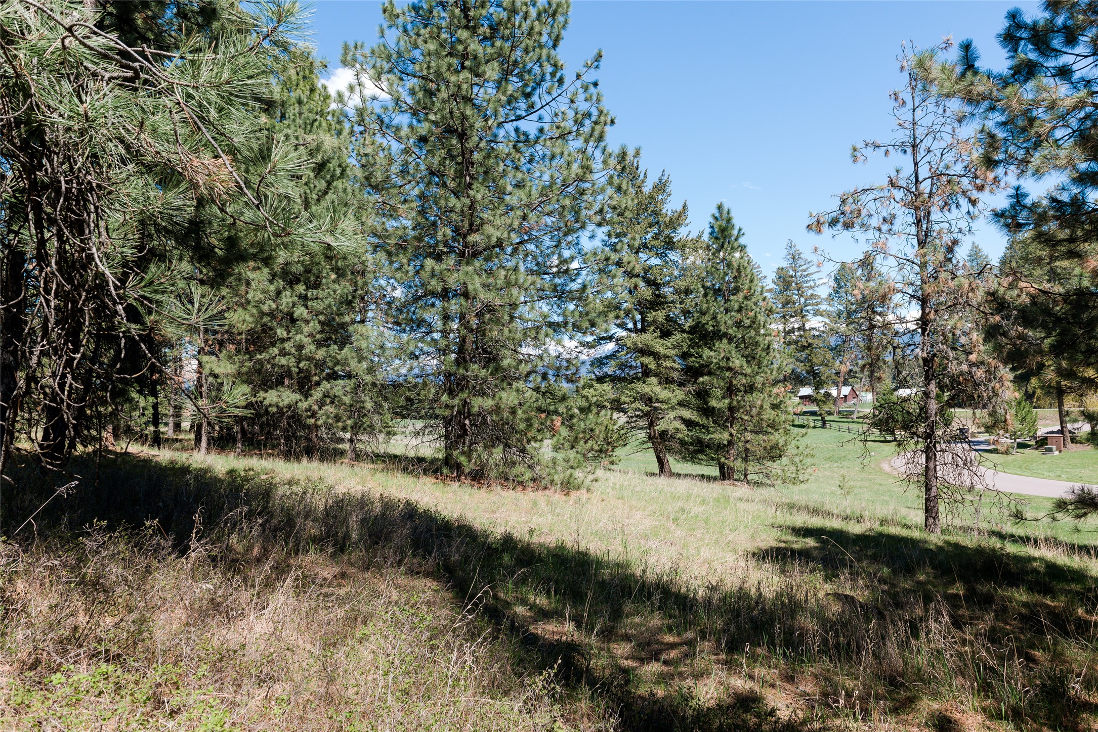 37 Red Tail Ridge Property Photo 10