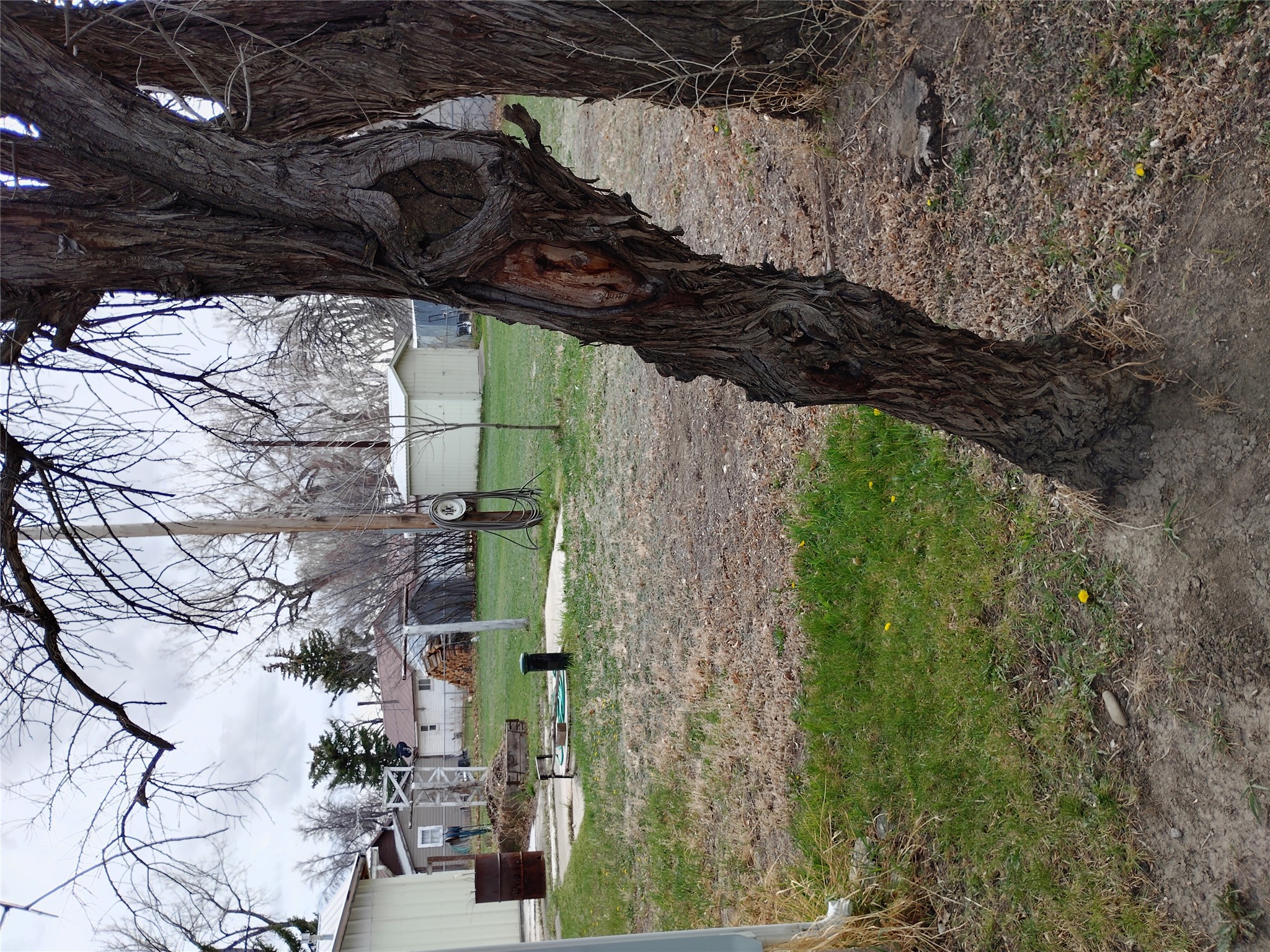 190 N Floweree Avenue Property Photo 28