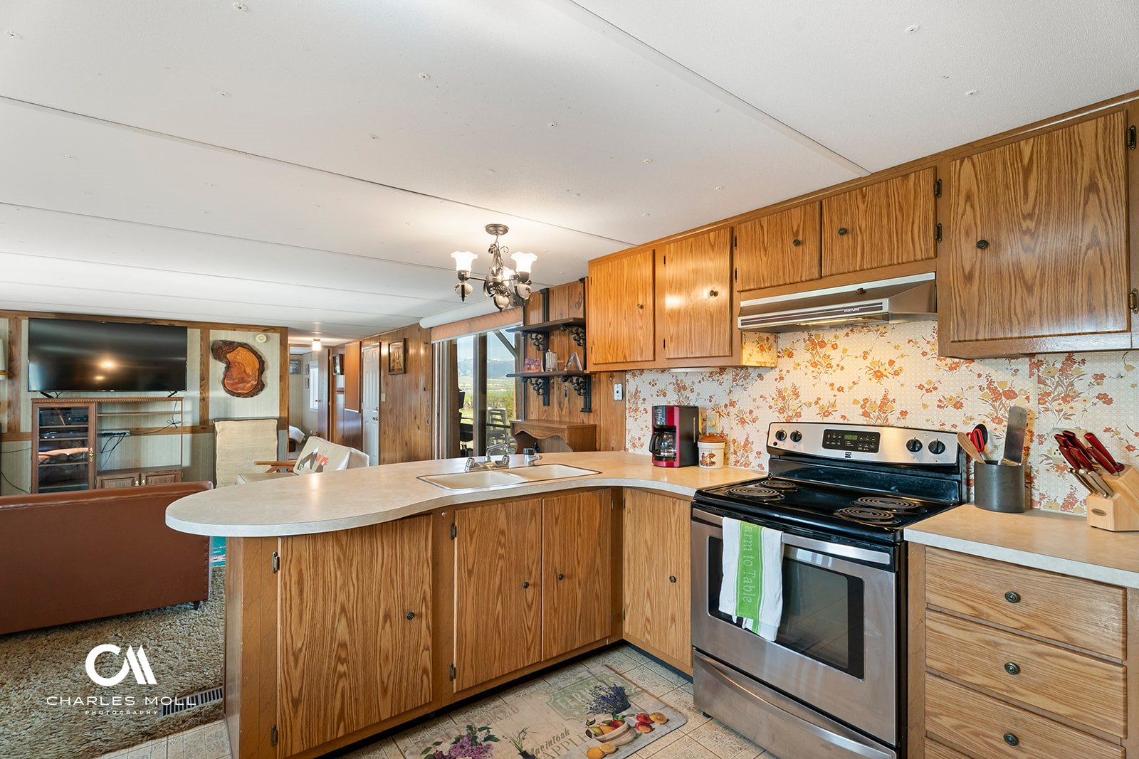 249 Goose Bay Lane Property Photo 41