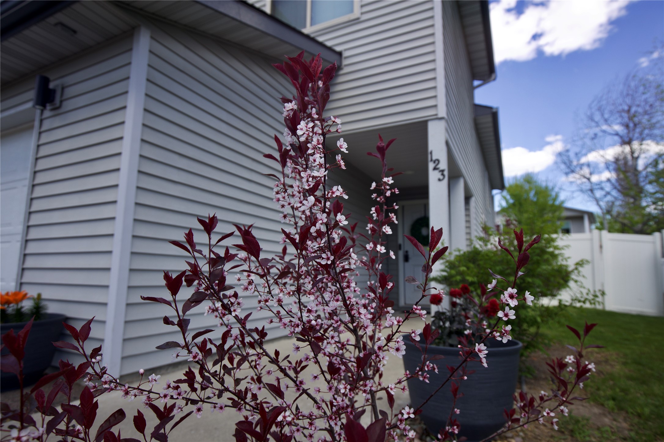 123 Barron Way Property Photo 44