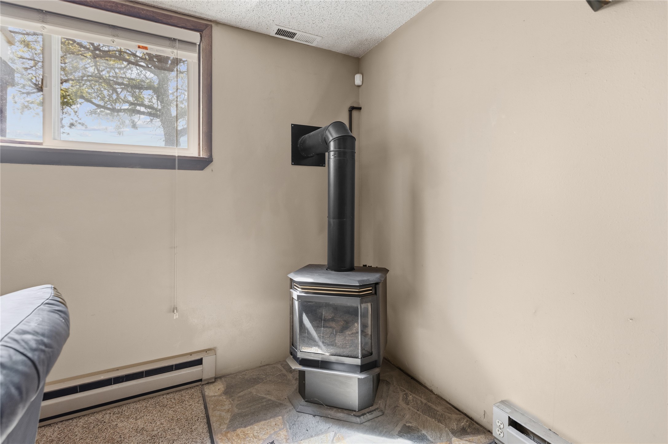 1339 Buffalo Road Property Photo 32