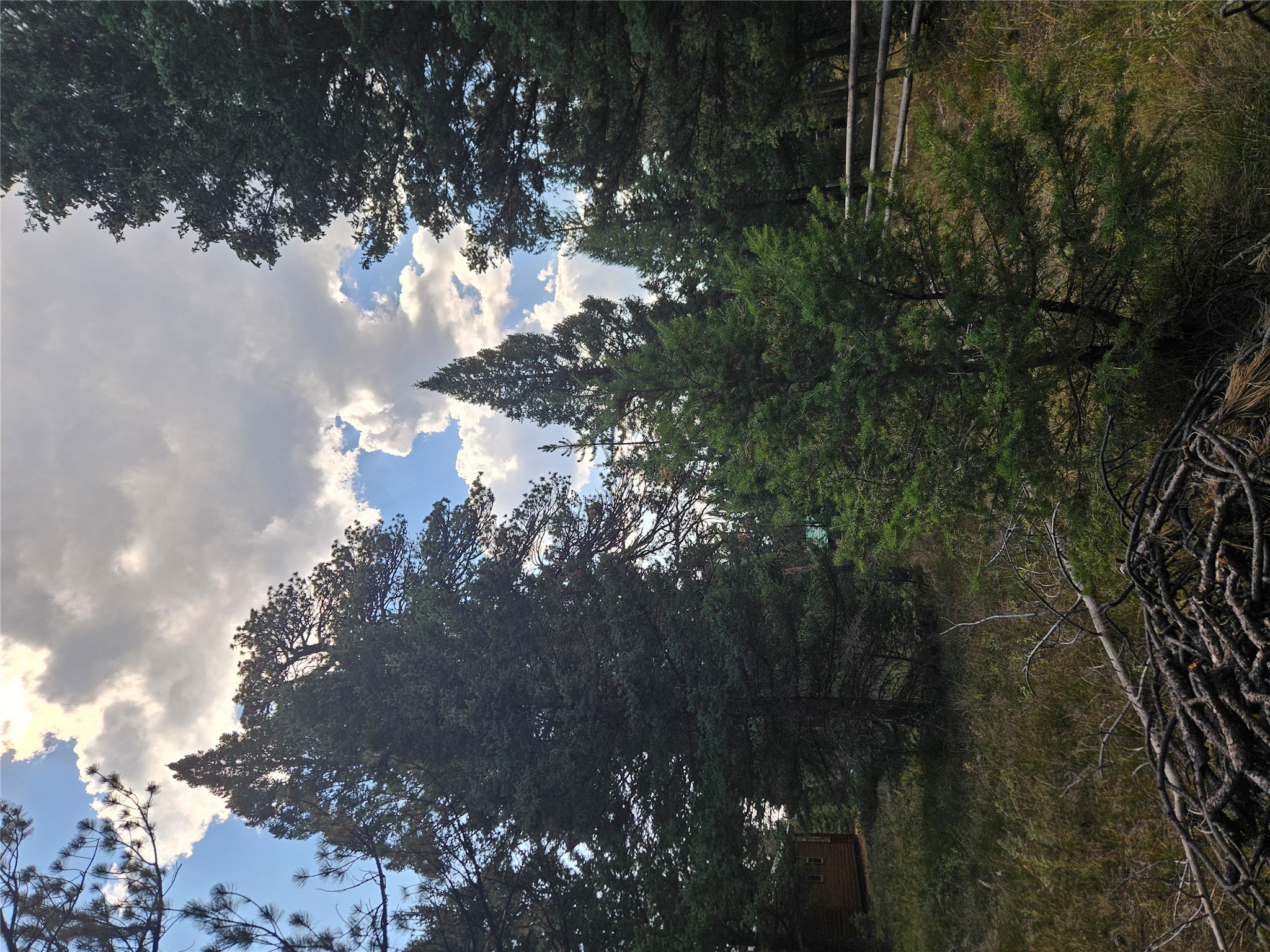 8880 Elk Trail Loop Property Photo 42