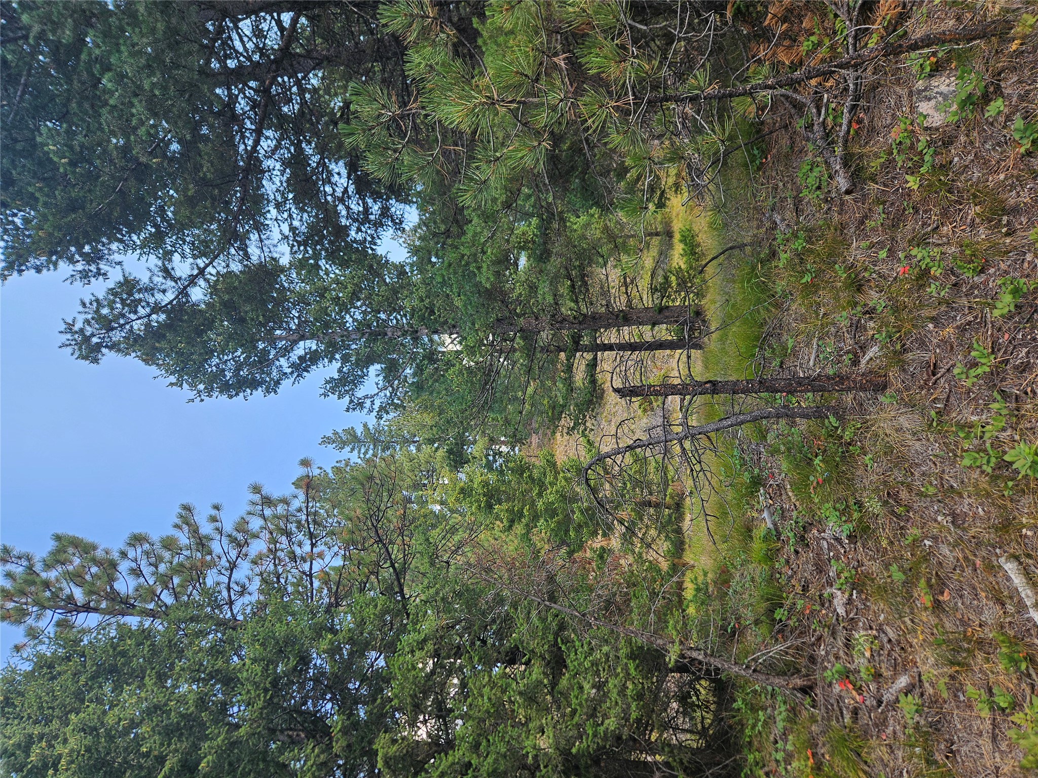 8880 Elk Trail Loop Property Photo 43