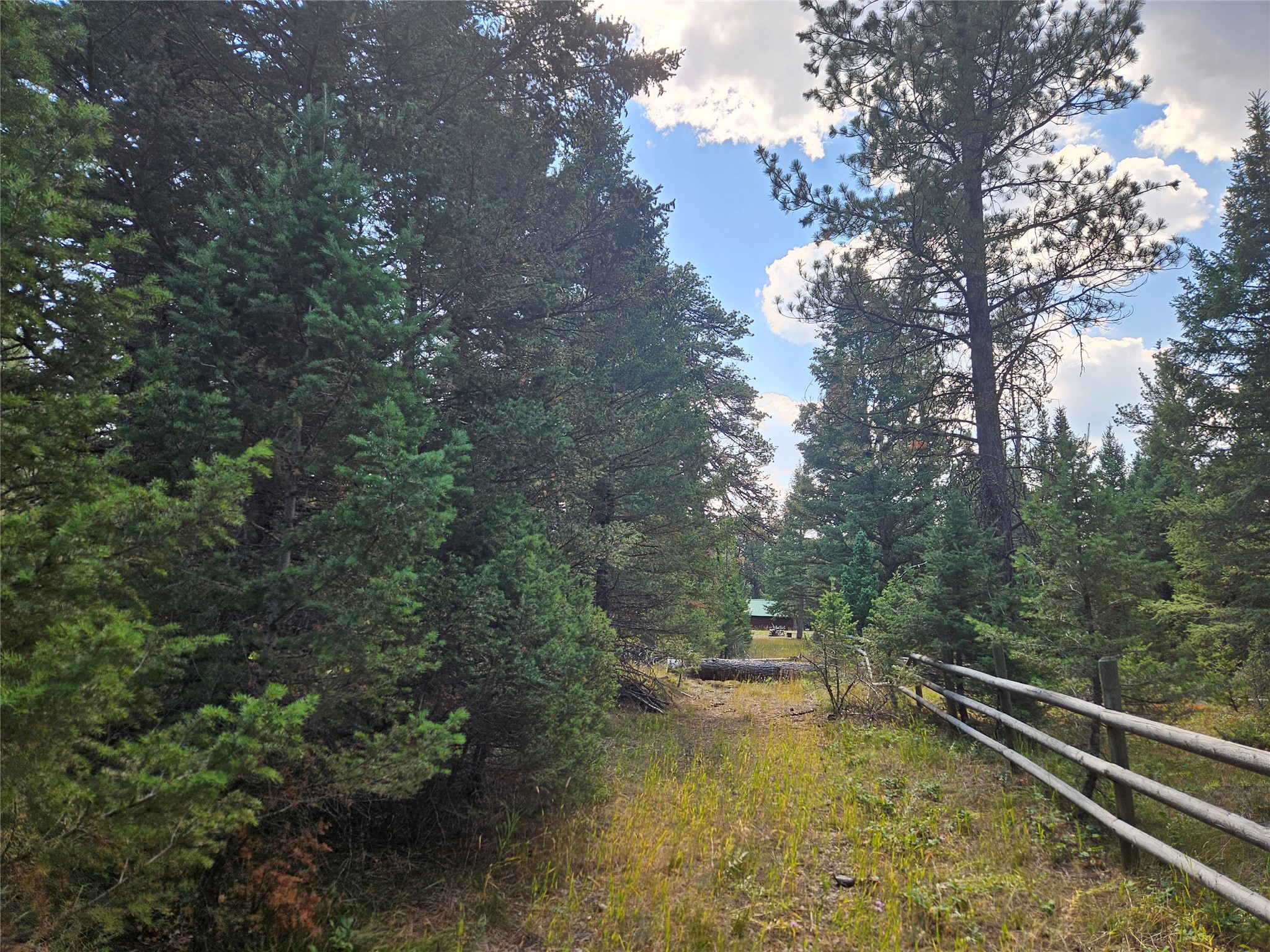 8880 Elk Trail Loop Property Photo 44