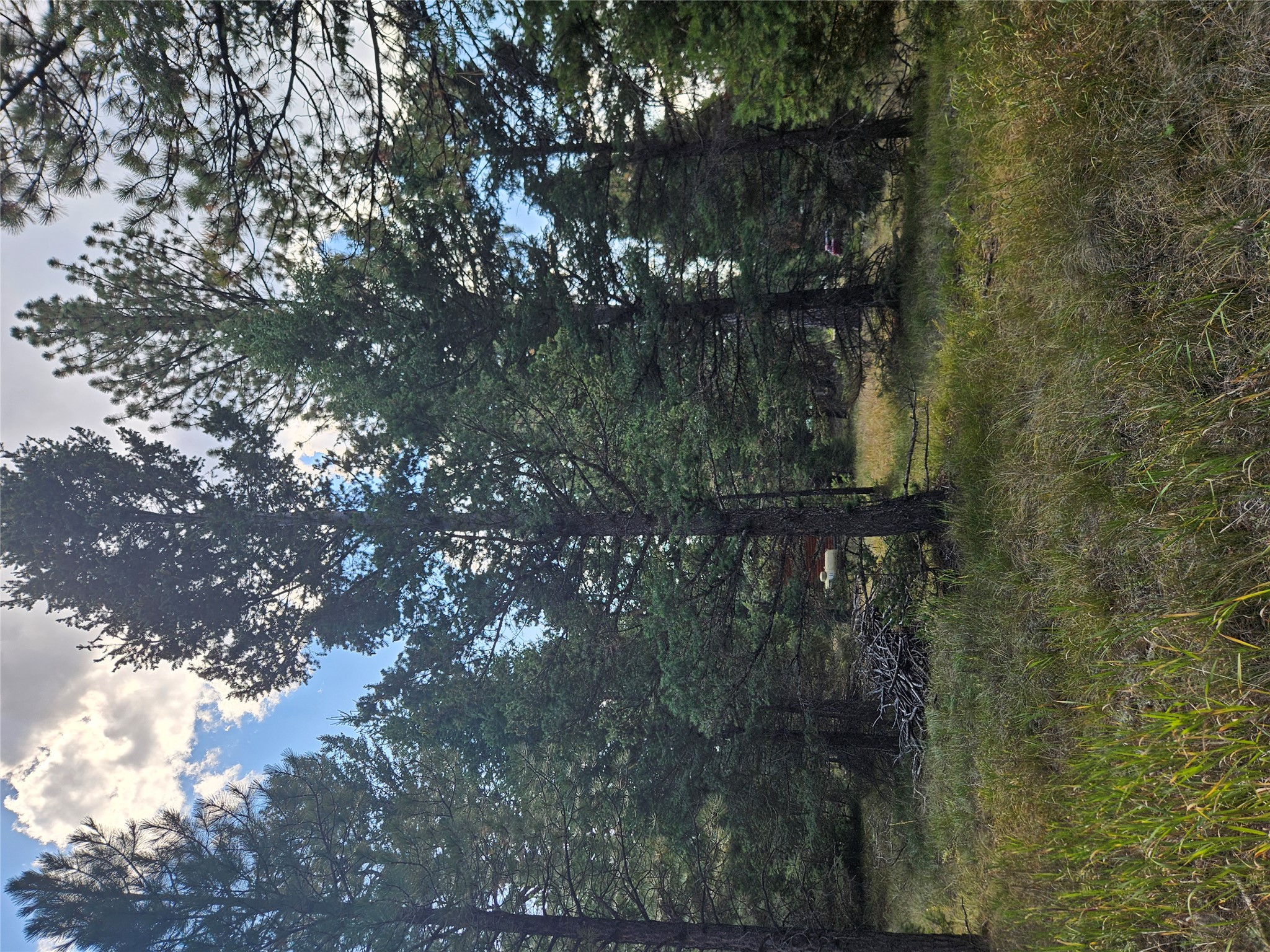 8880 Elk Trail Loop Property Photo 45