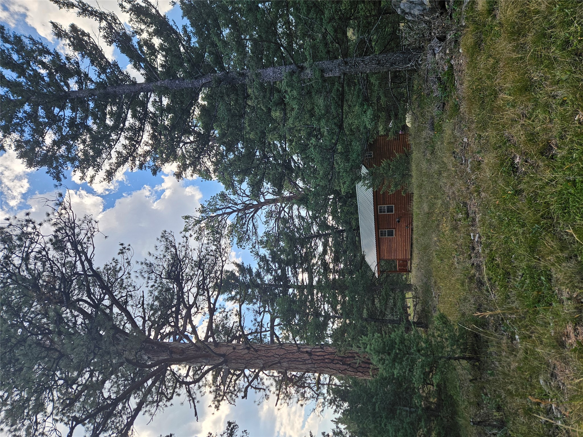 8880 Elk Trail Loop Property Photo 46