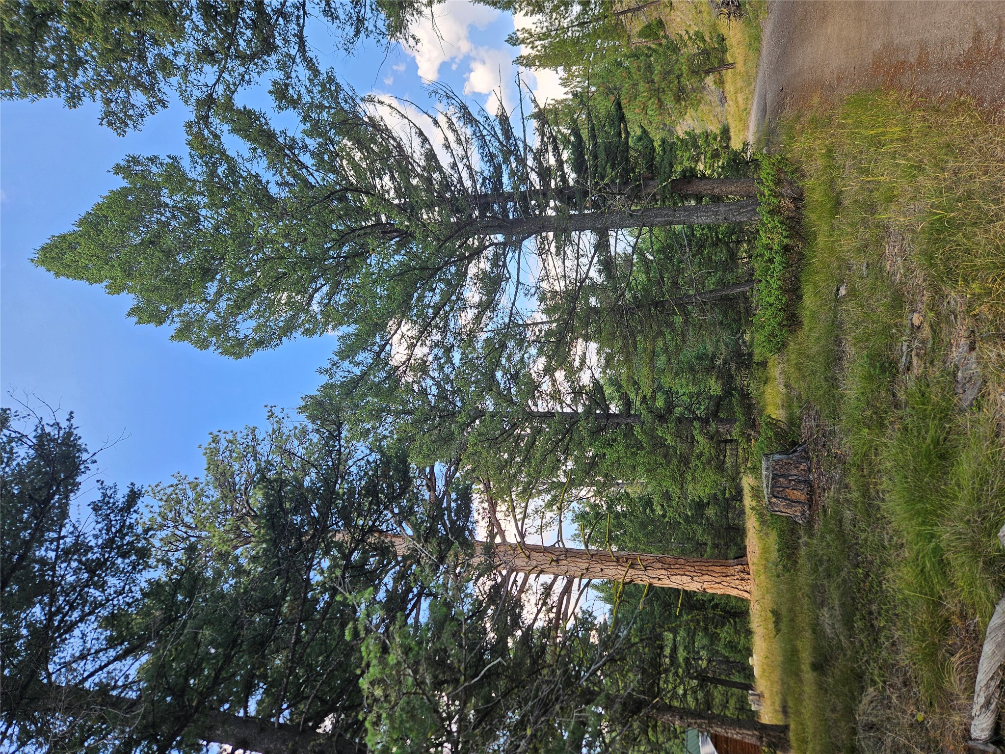 8880 Elk Trail Loop Property Photo 48