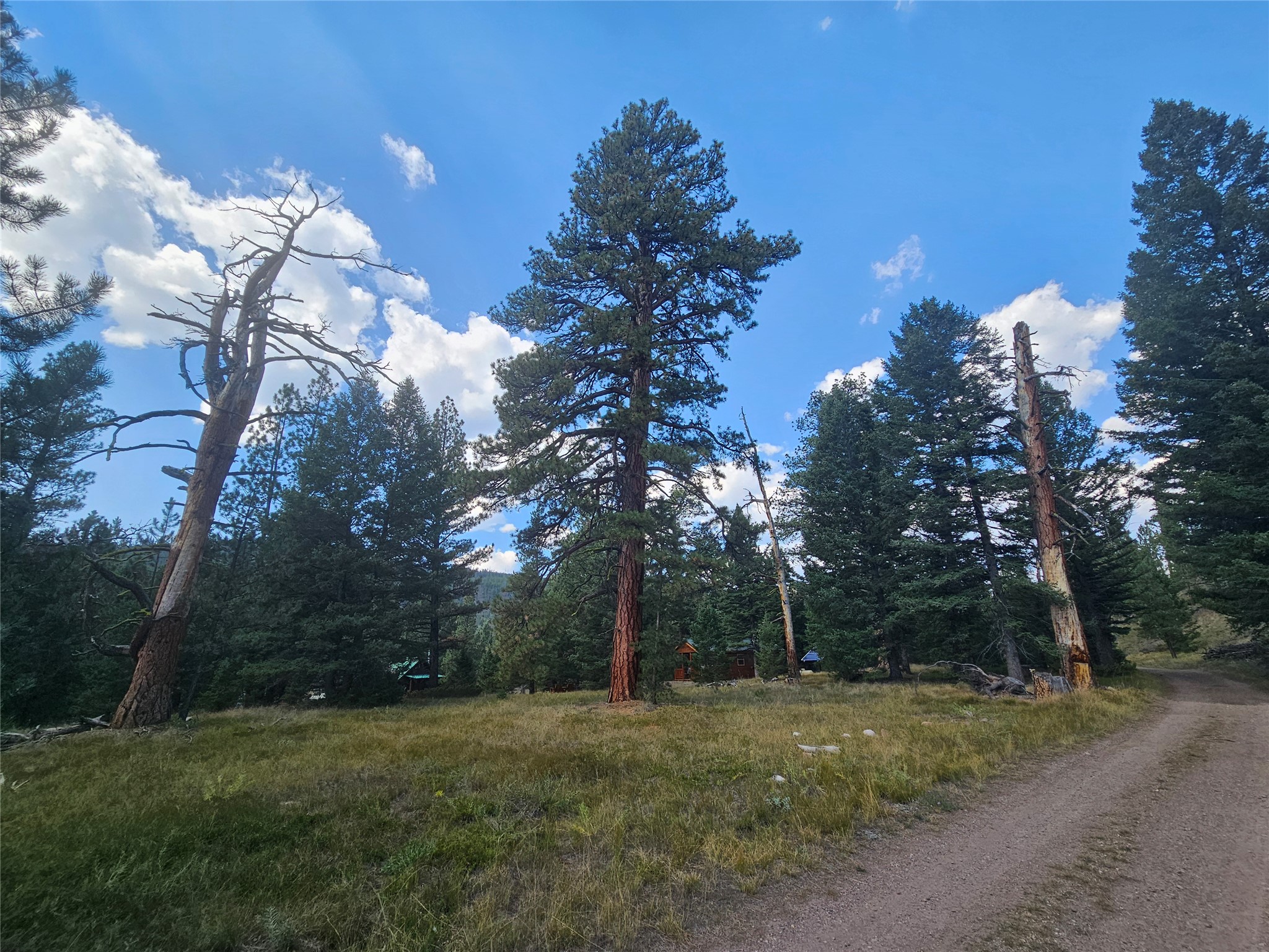 8880 Elk Trail Loop Property Photo 49