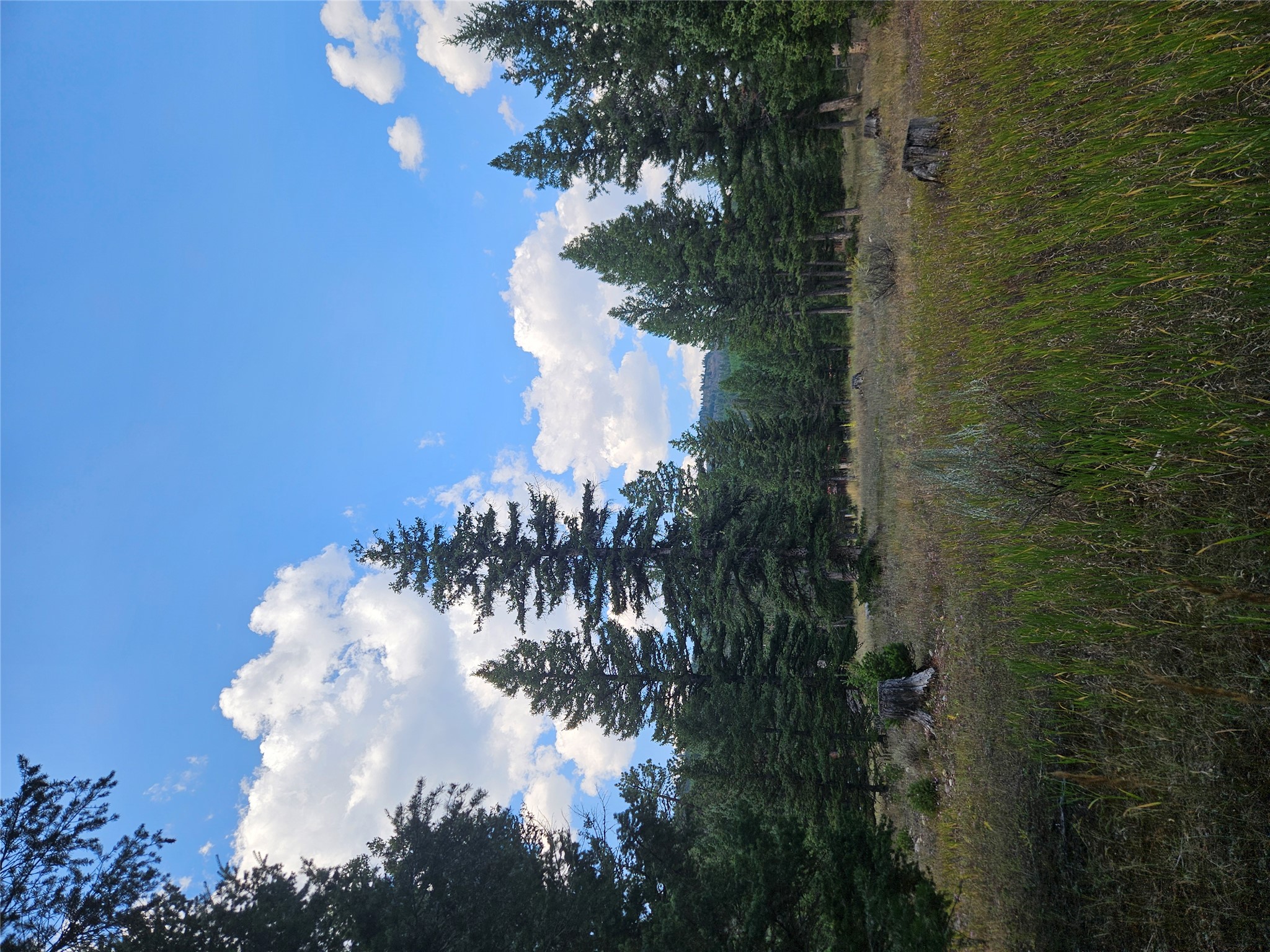 8880 Elk Trail Loop Property Photo 51
