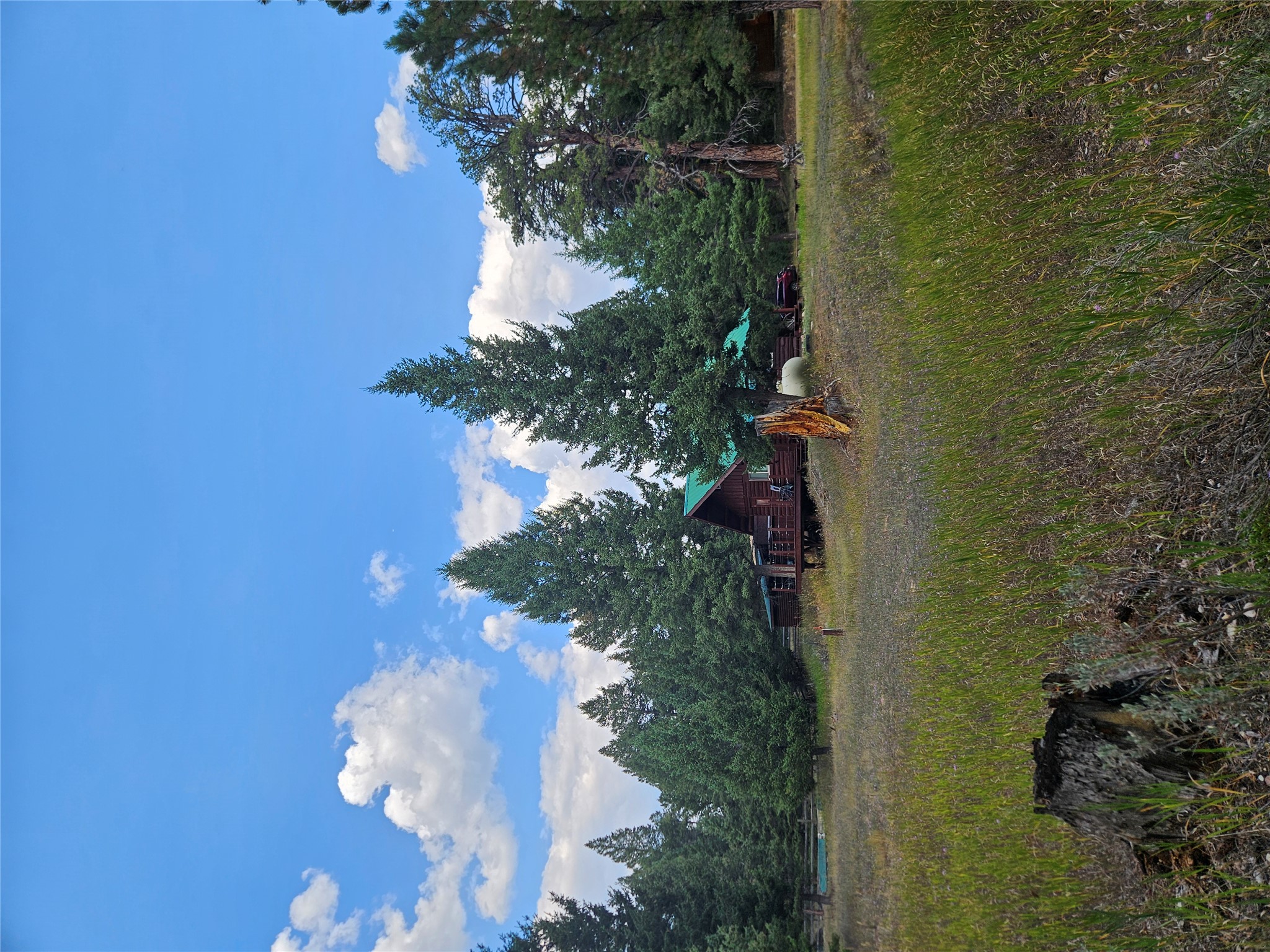 8880 Elk Trail Loop Property Photo 52