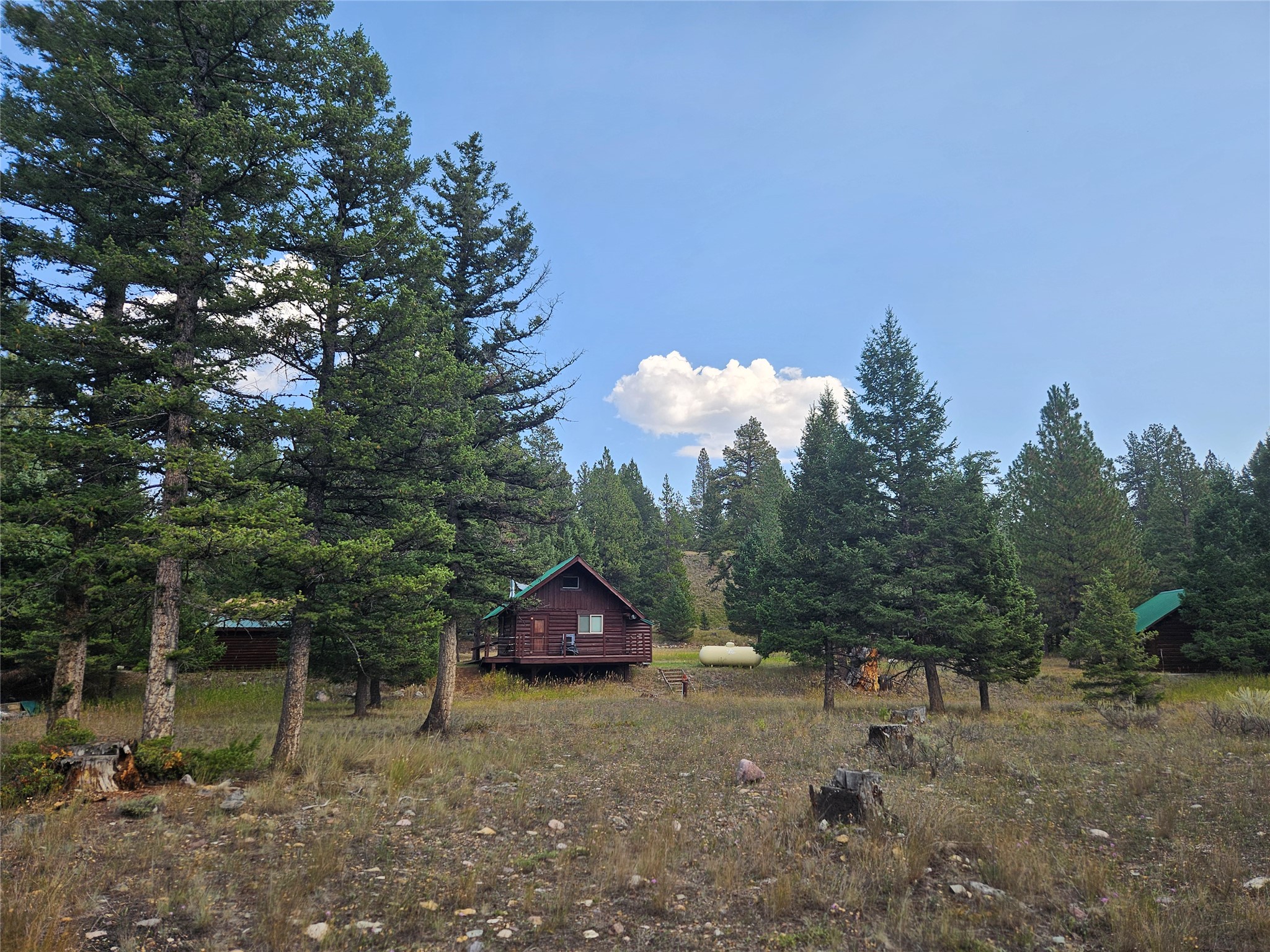 8880 Elk Trail Loop Property Photo 54
