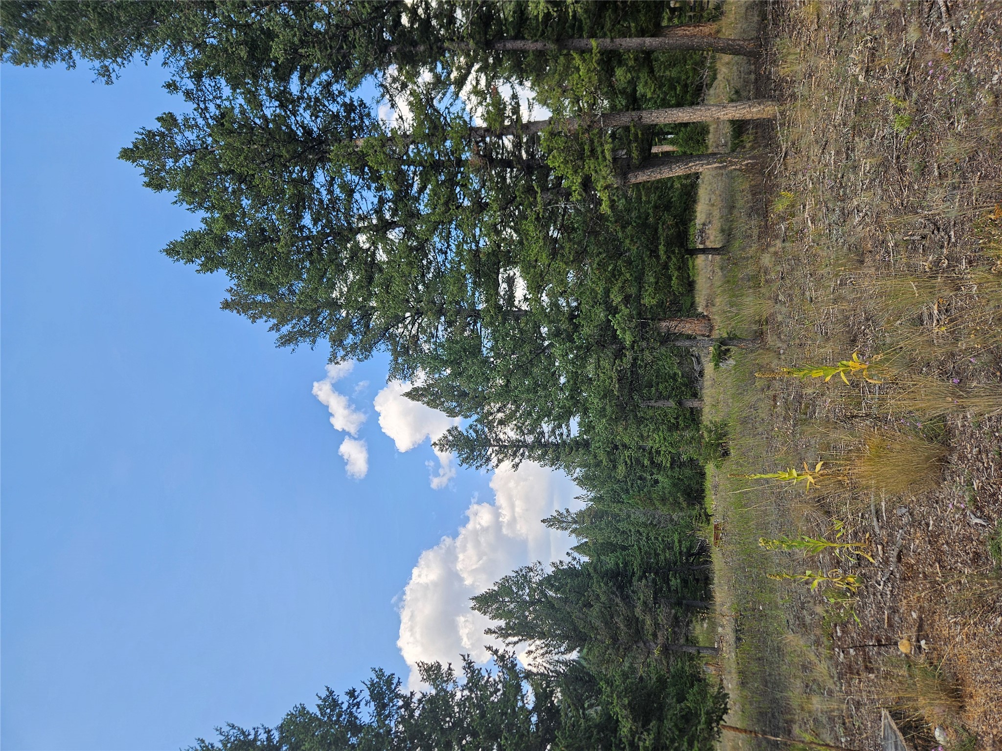 8880 Elk Trail Loop Property Photo 55