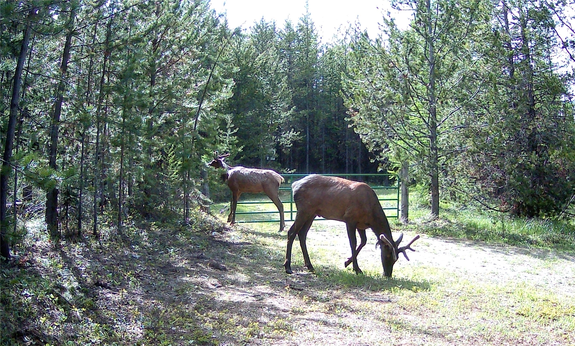 275/283 Gobblers Knob Road Property Photo 18