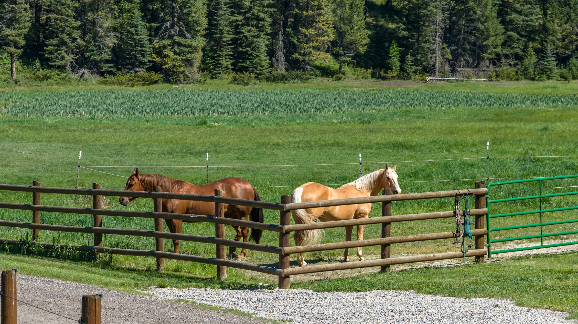 633 Beaver Creek Ranch Road Property Photo 94
