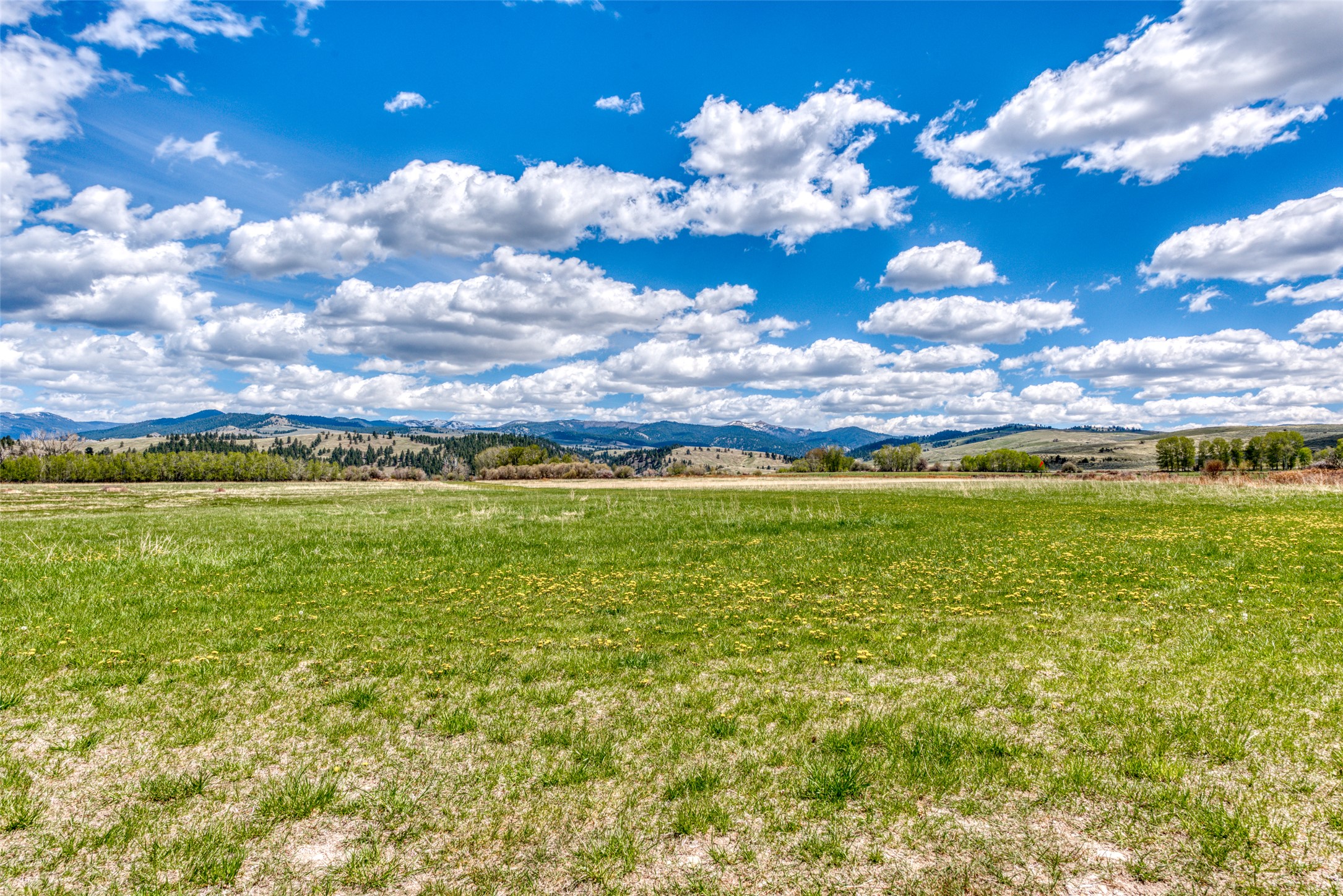 1288 Golf Course Road Property Photo 17