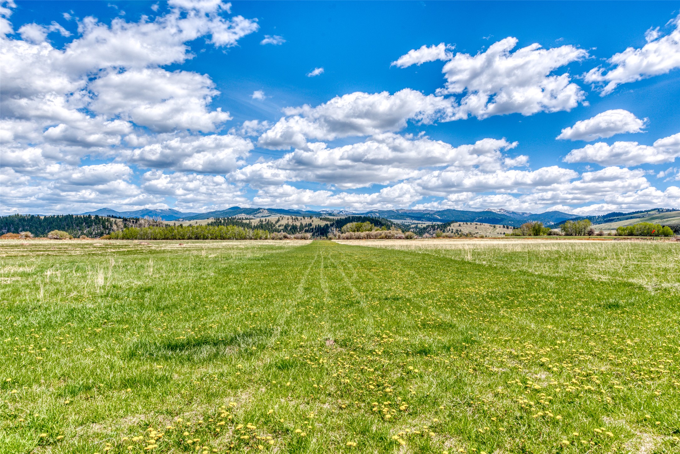 1288 Golf Course Road Property Photo 19
