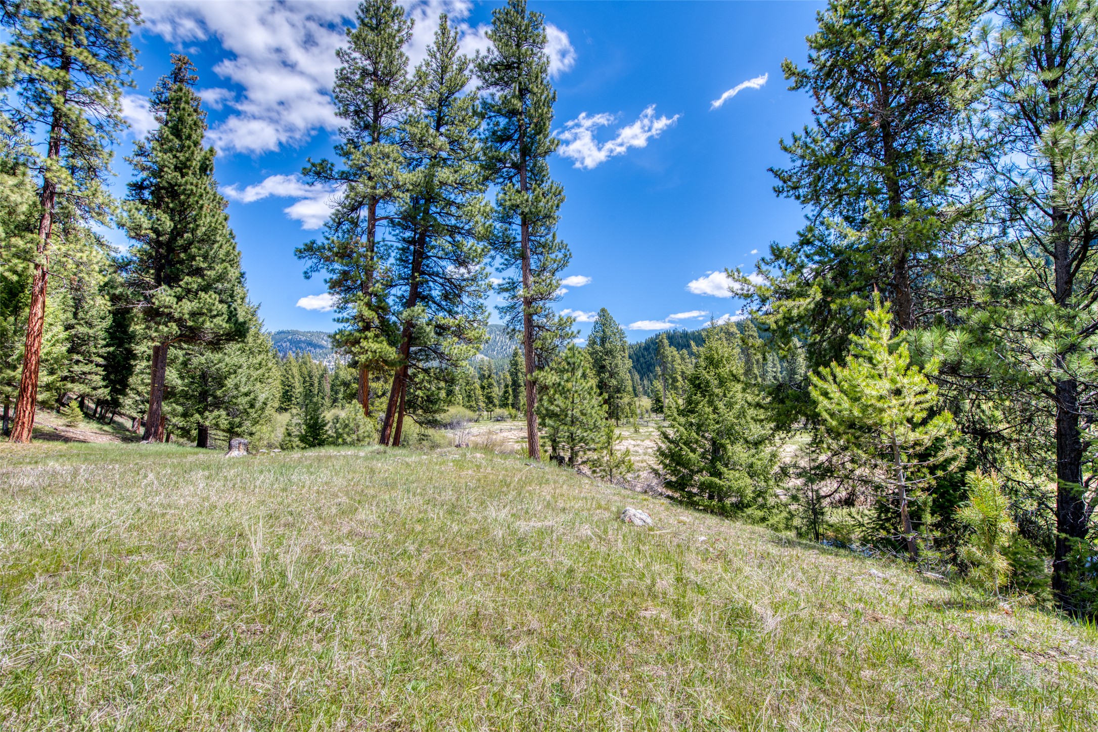 77 Alta Meadow Trail Property Photo 36