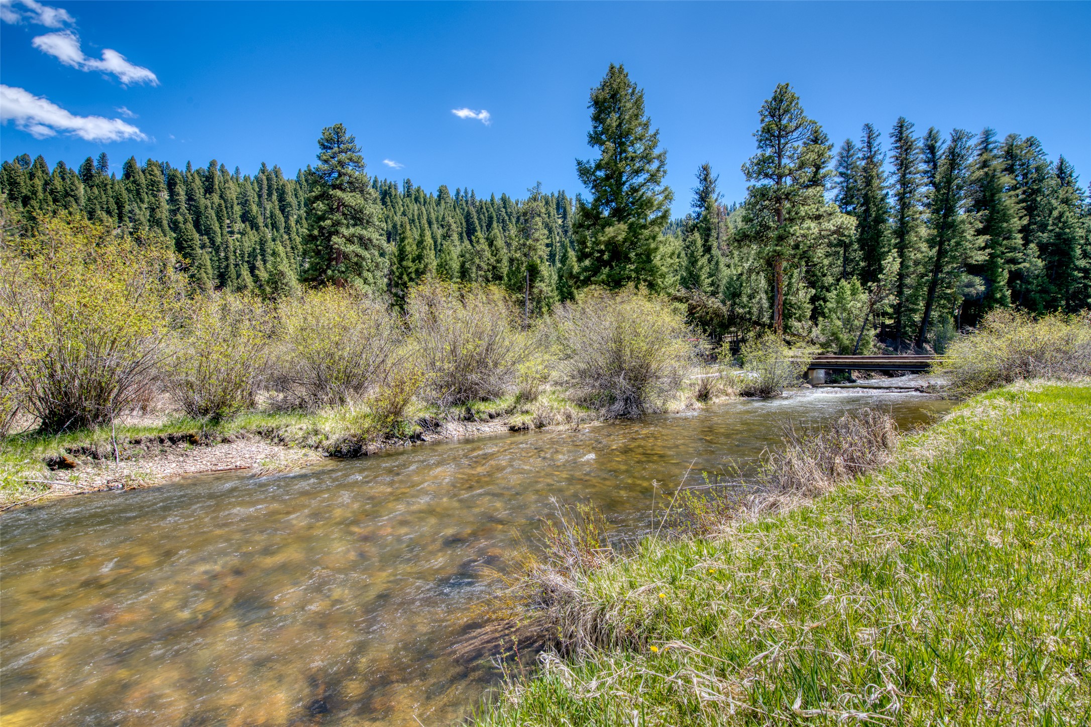 77 Alta Meadow Trail Property Photo 41