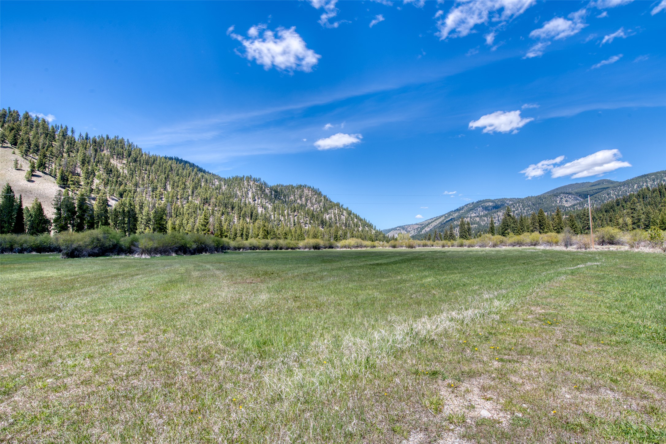 77 Alta Meadow Trail Property Photo 43