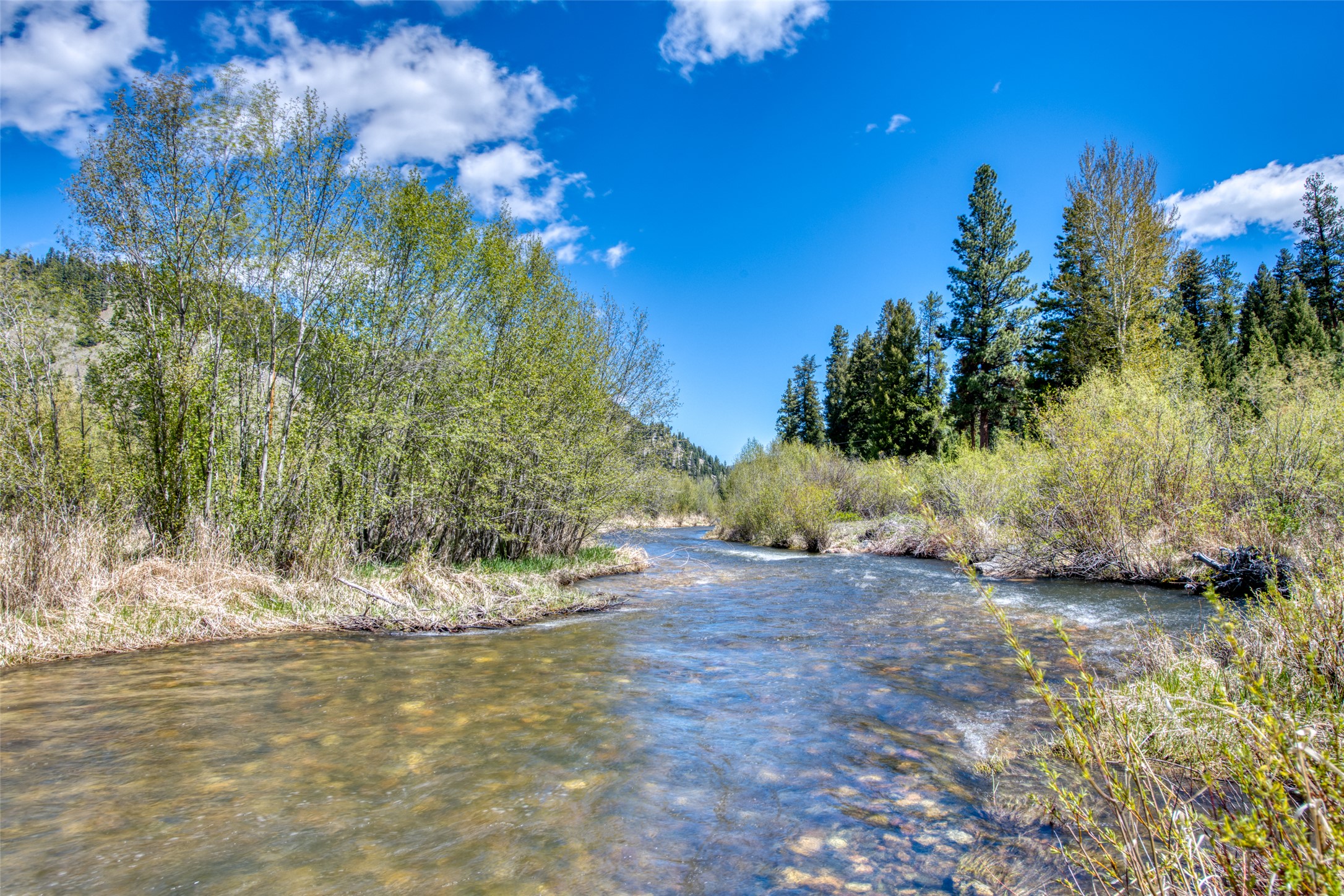 77 Alta Meadow Trail Property Photo 44