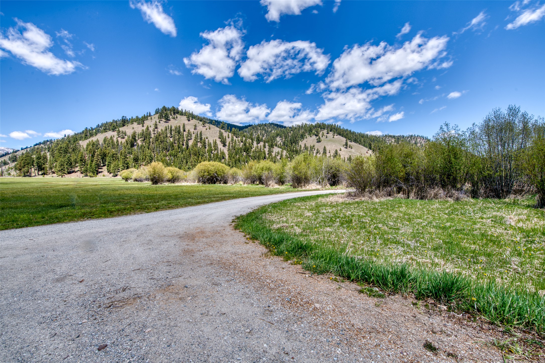 77 Alta Meadow Trail Property Photo 45